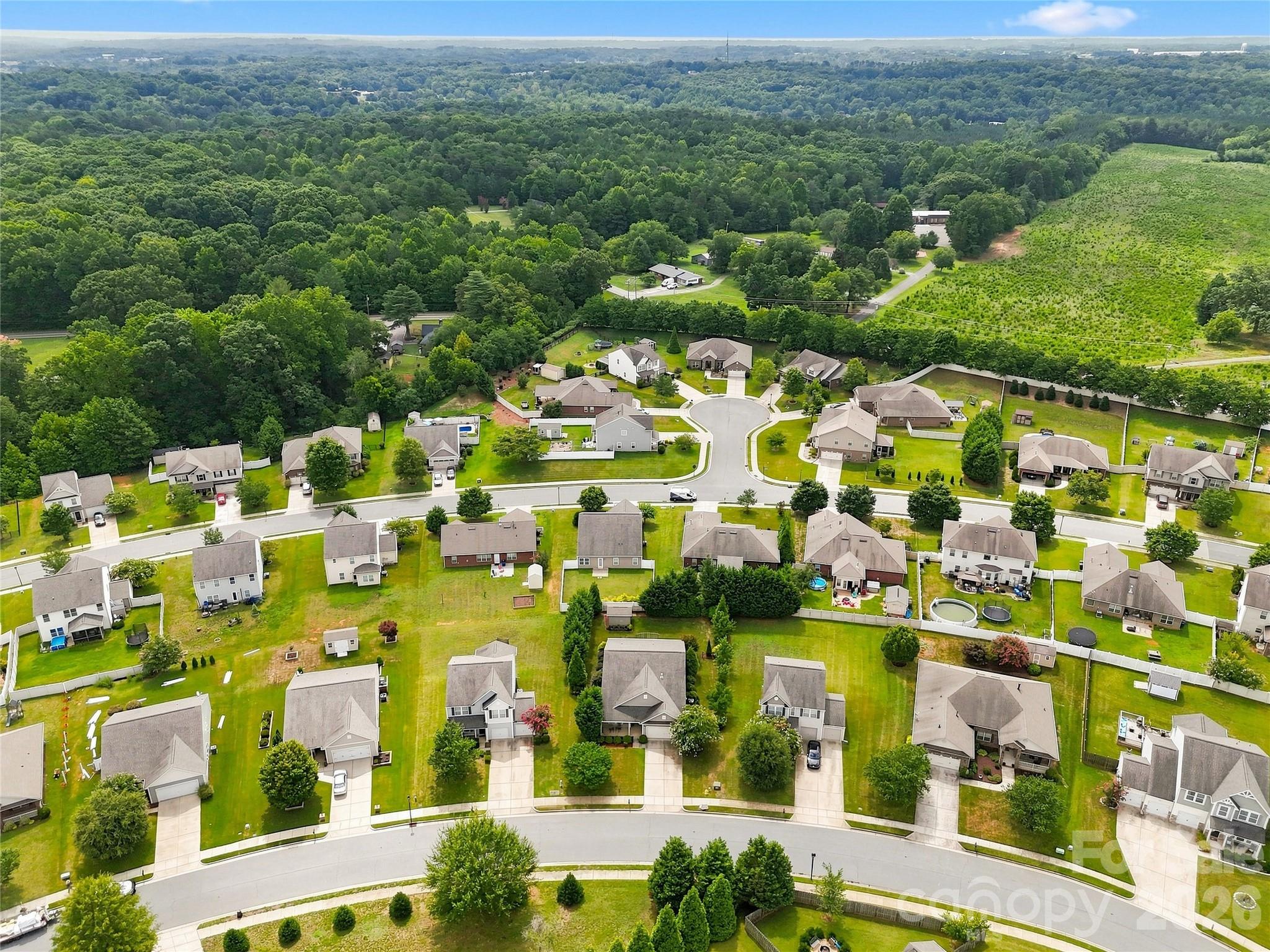 main property photo 41