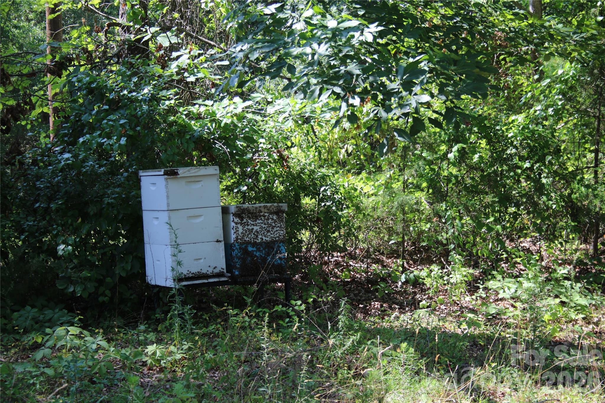 main property photo 35
