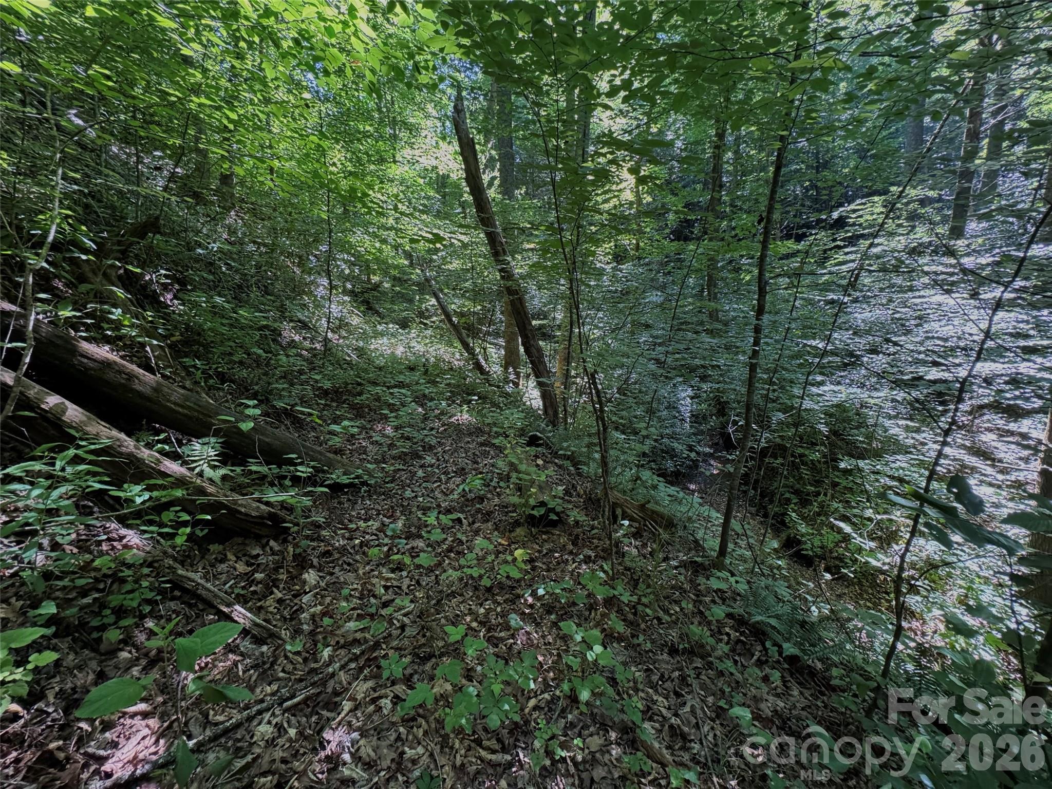main property photo 19