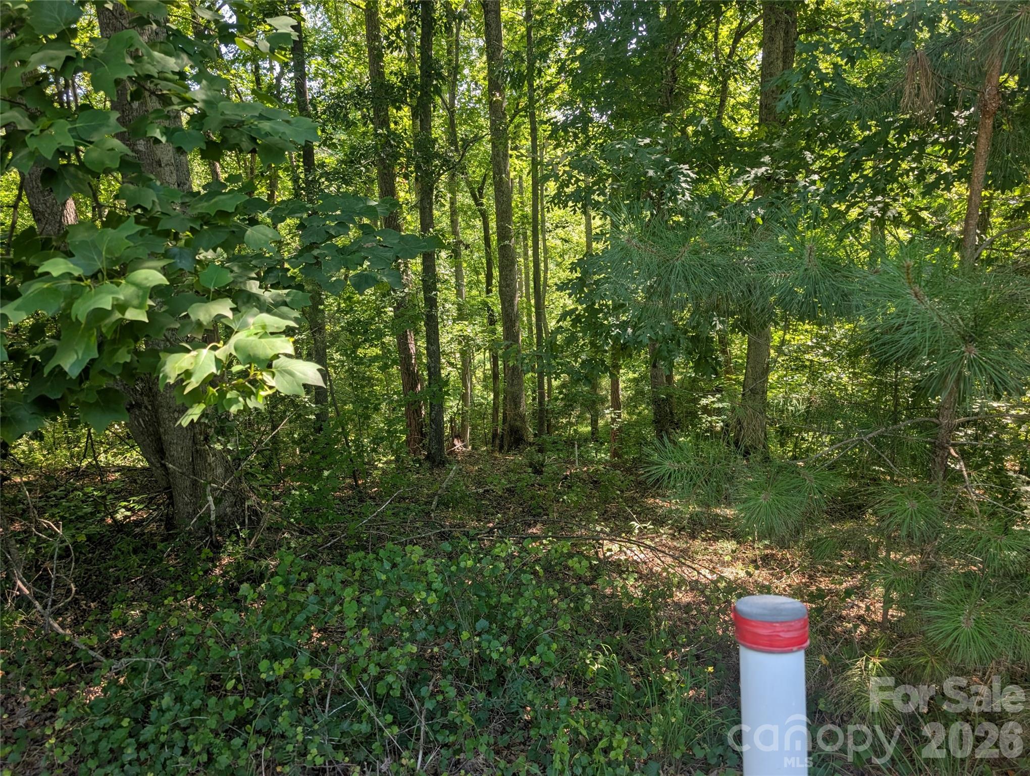 main property photo 16