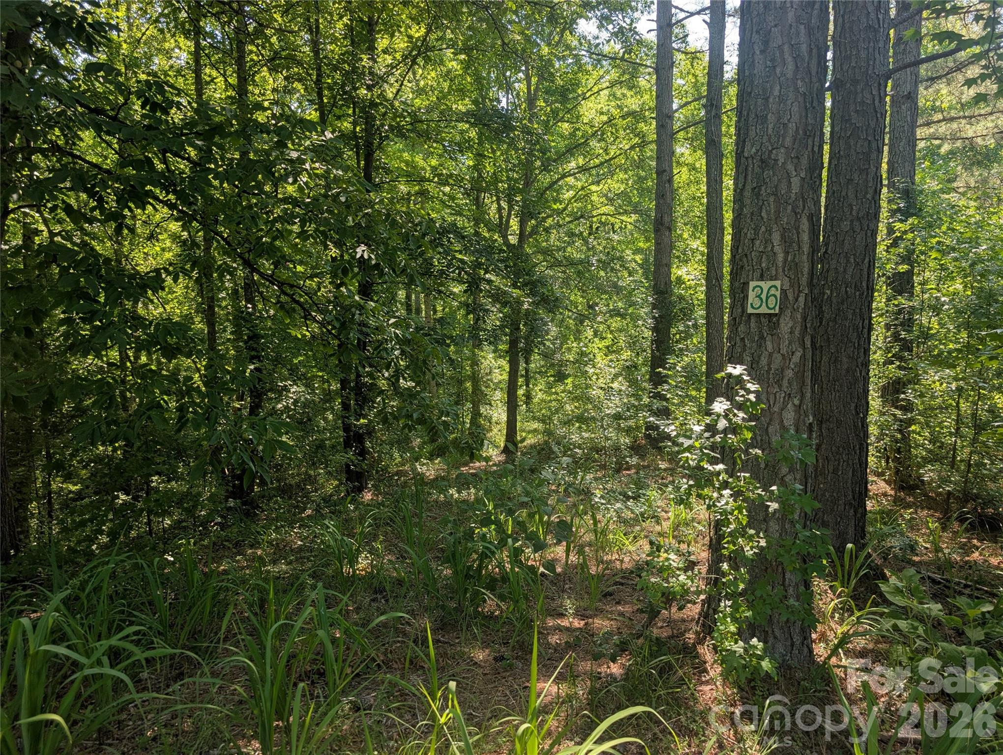 main property photo 9