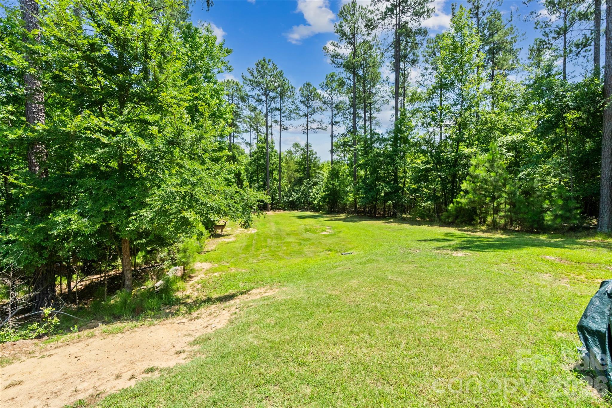 main property photo 45