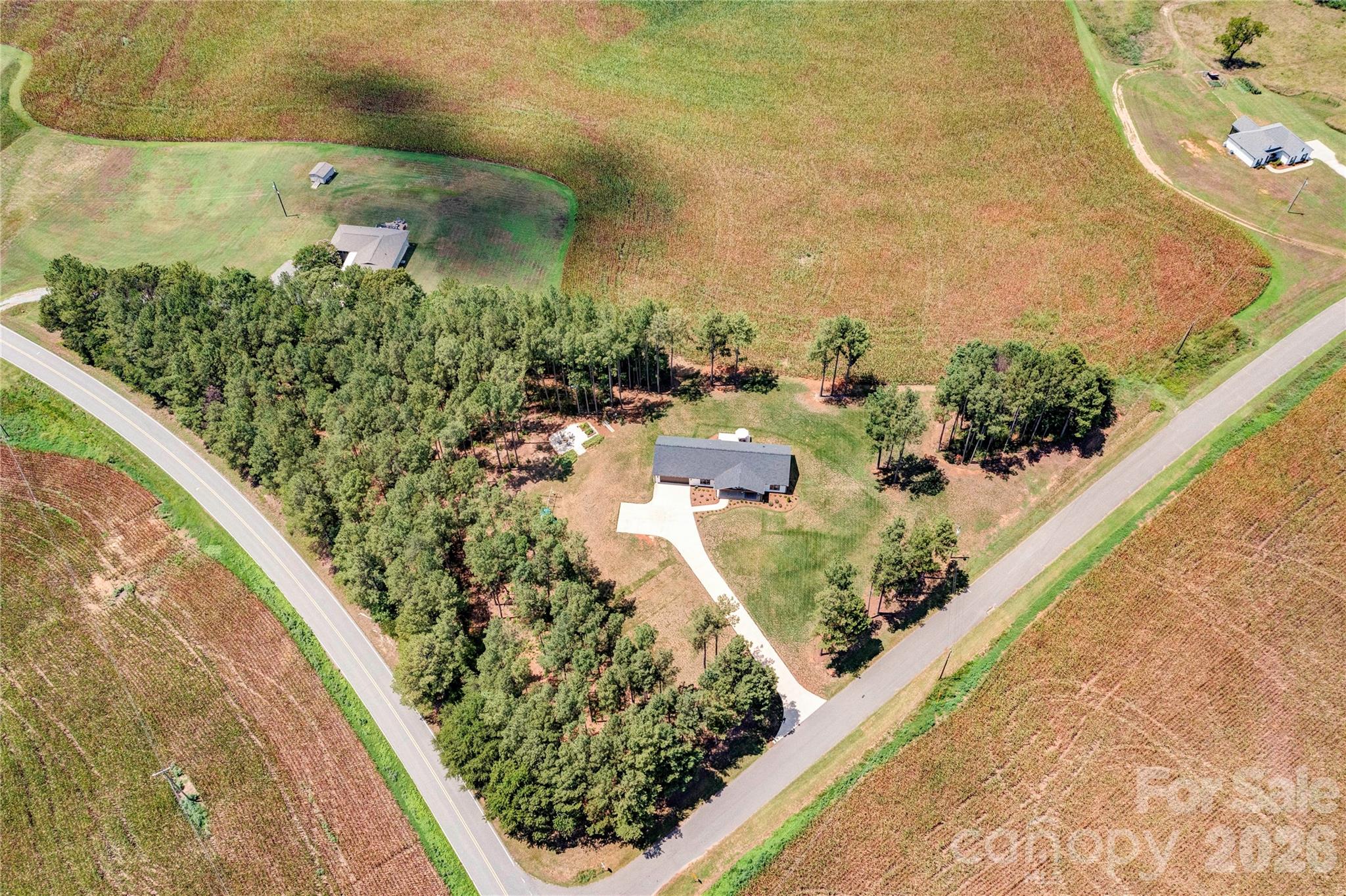 main property photo 38