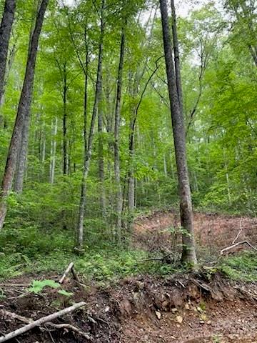 main property photo 11