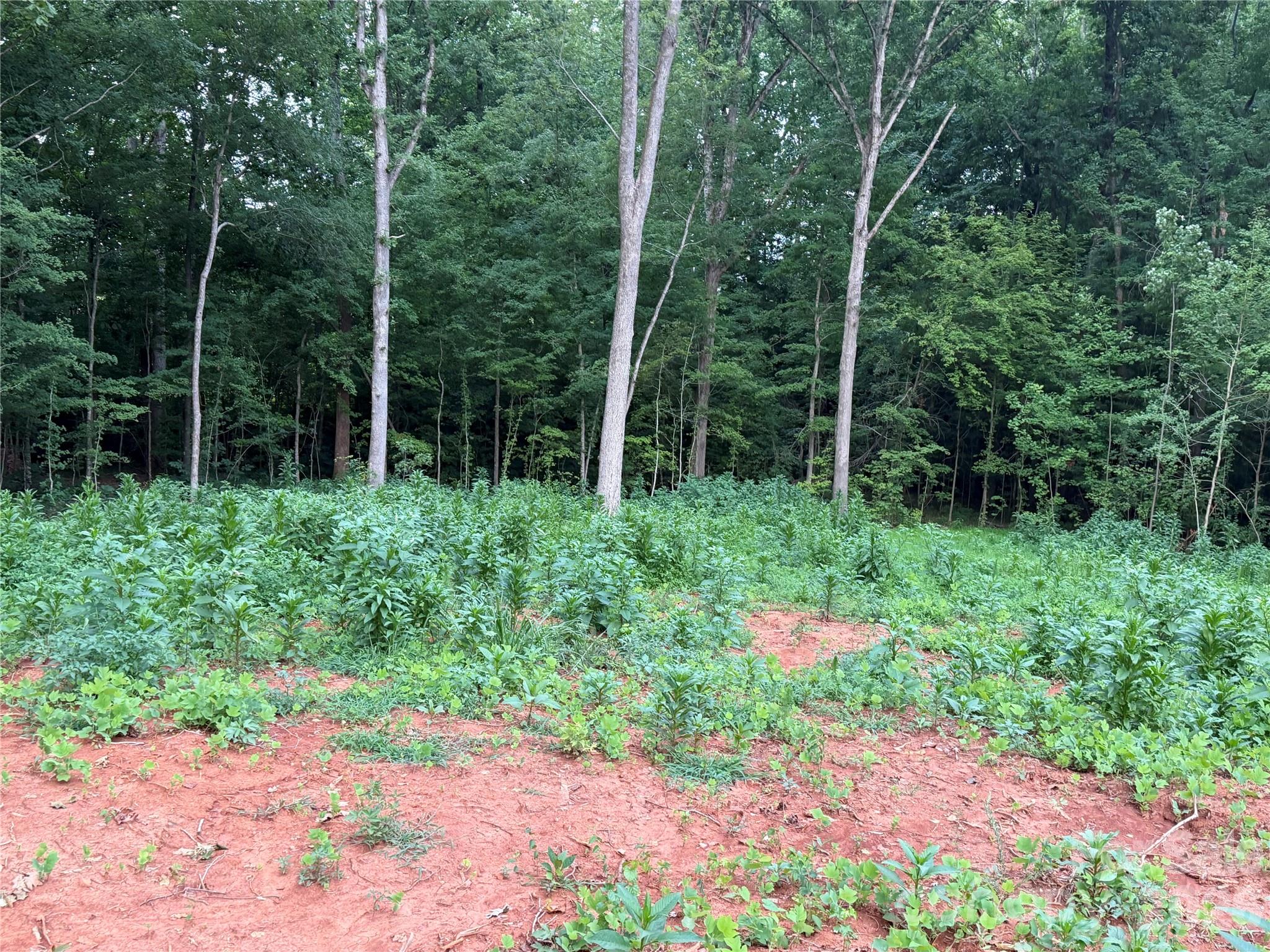 main property photo 13