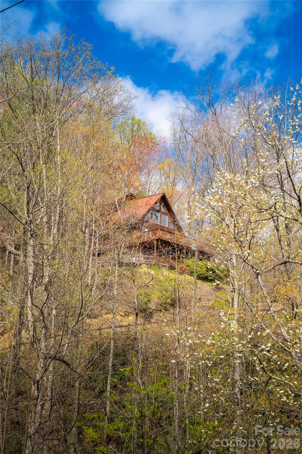 main property photo 40