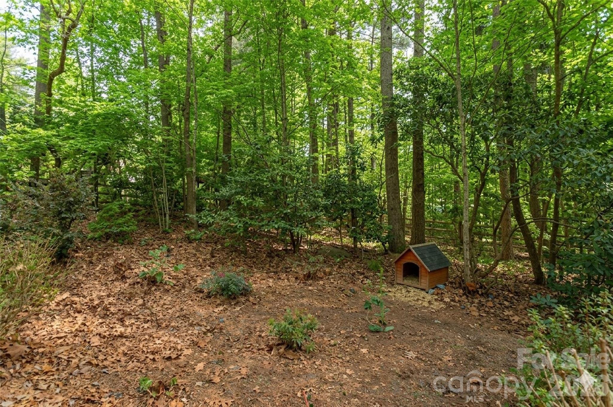 main property photo 6