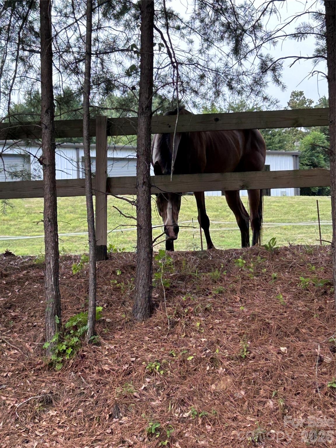 main property photo 43