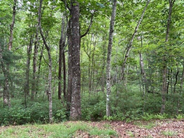 main property photo 11