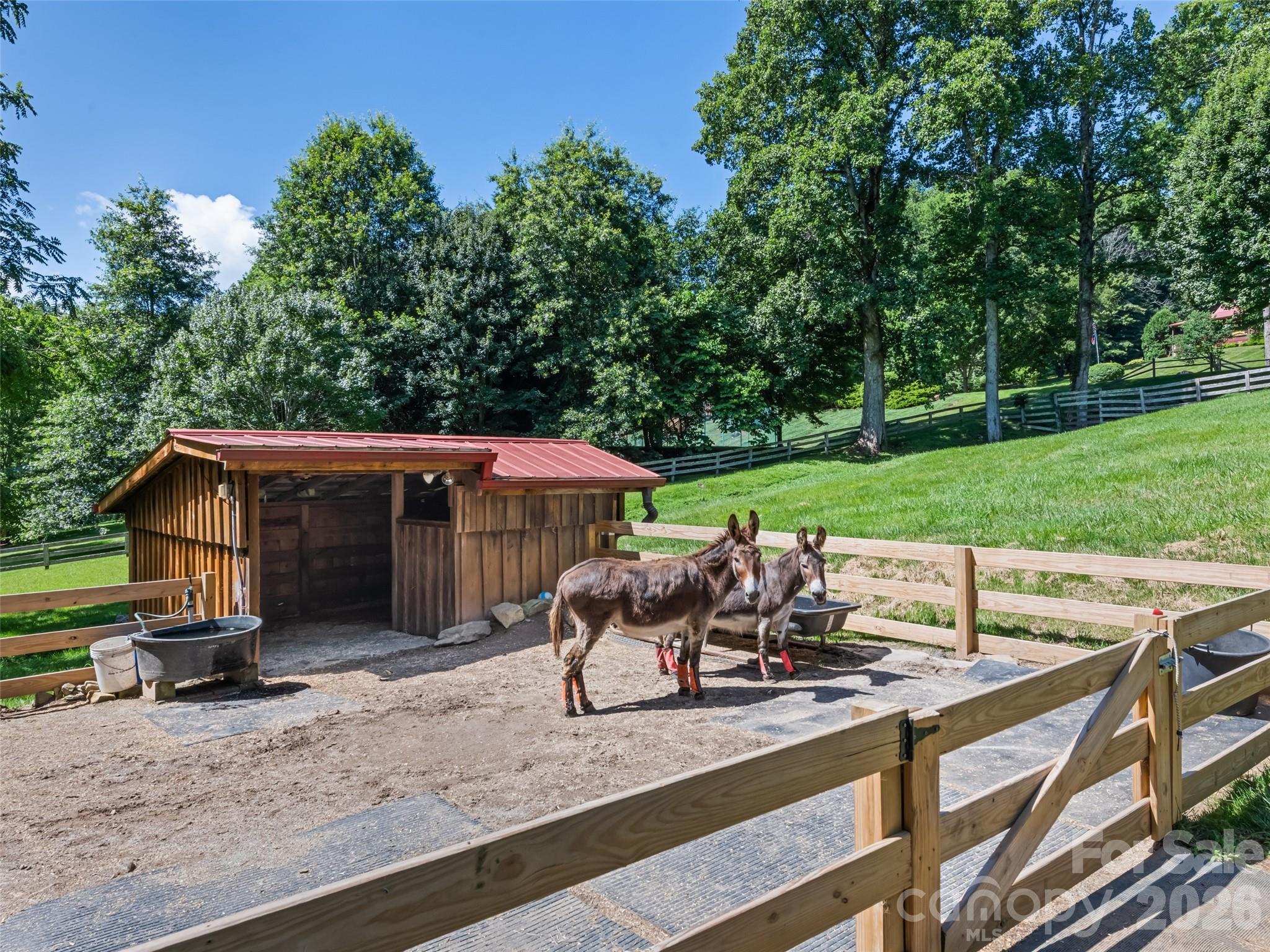 main property photo 44