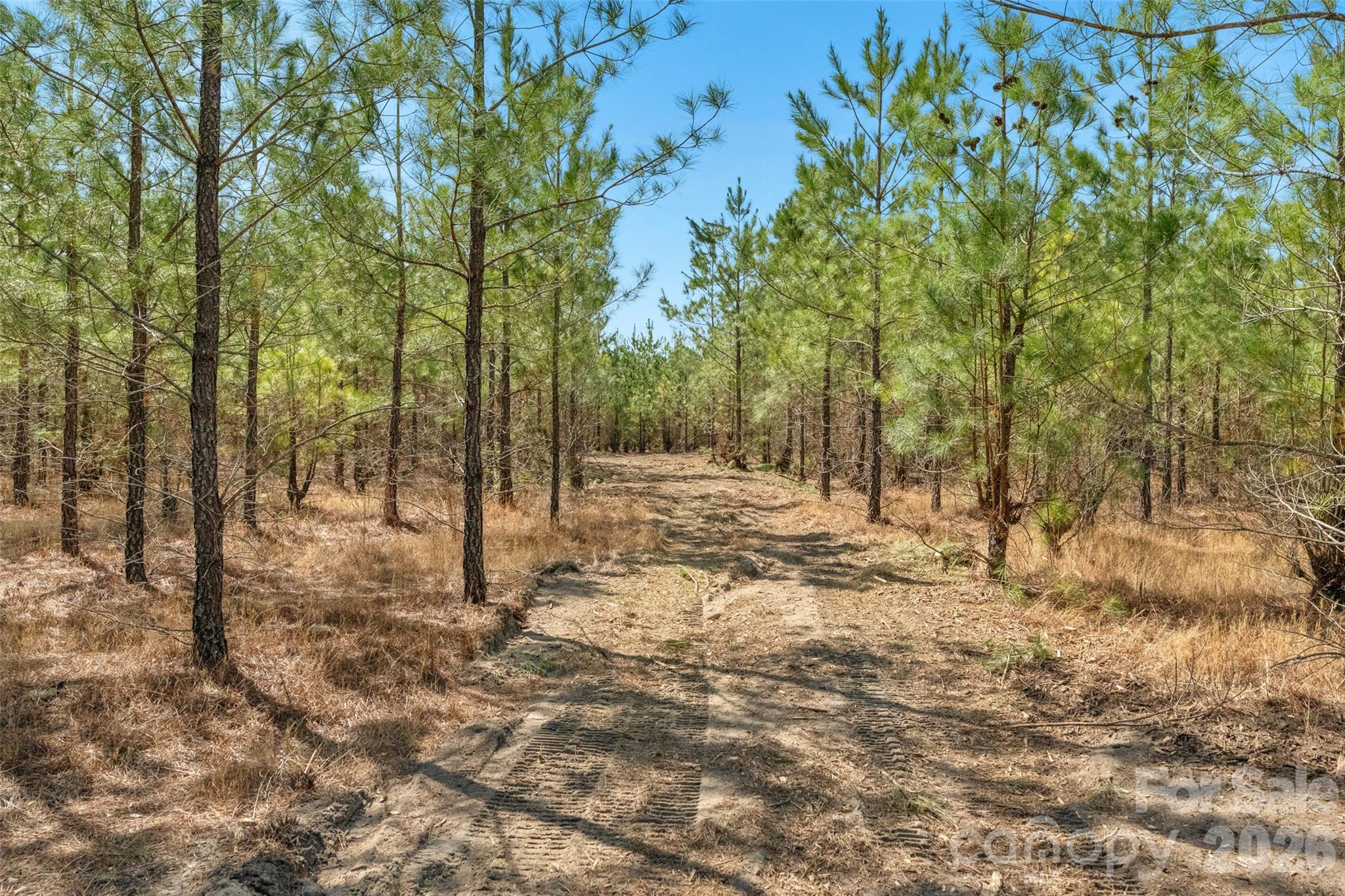main property photo 31