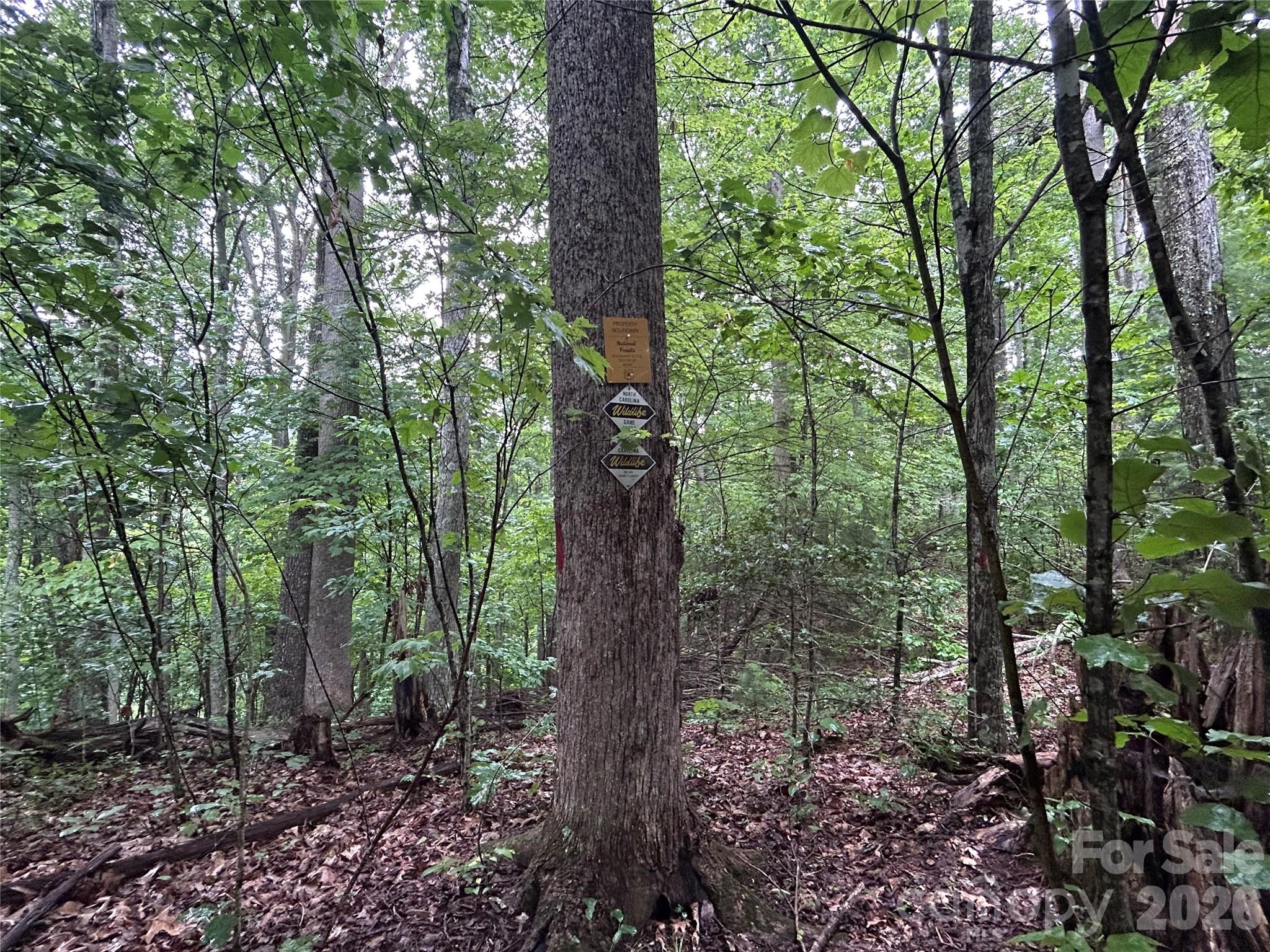 main property photo 9