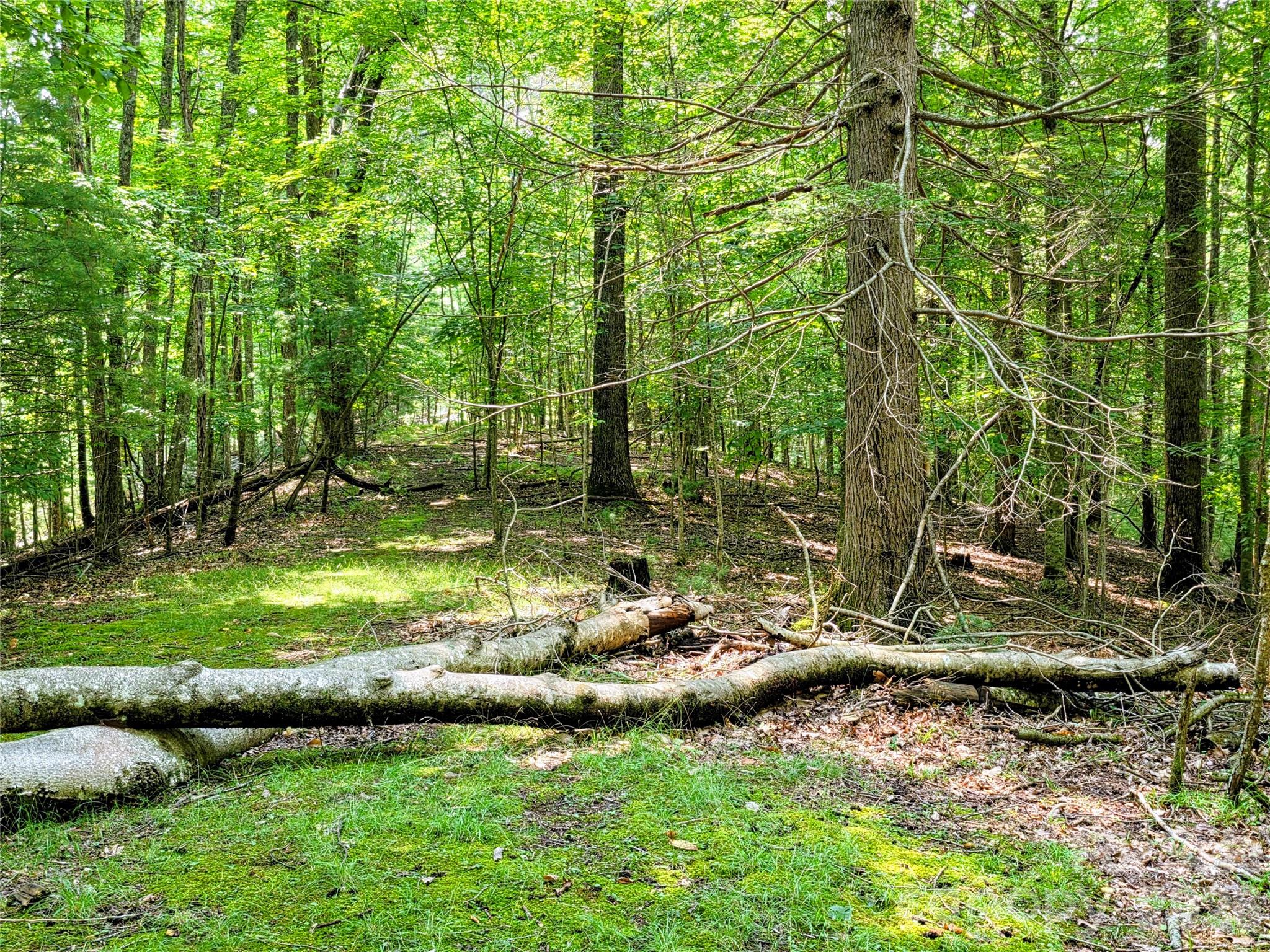 main property photo 18