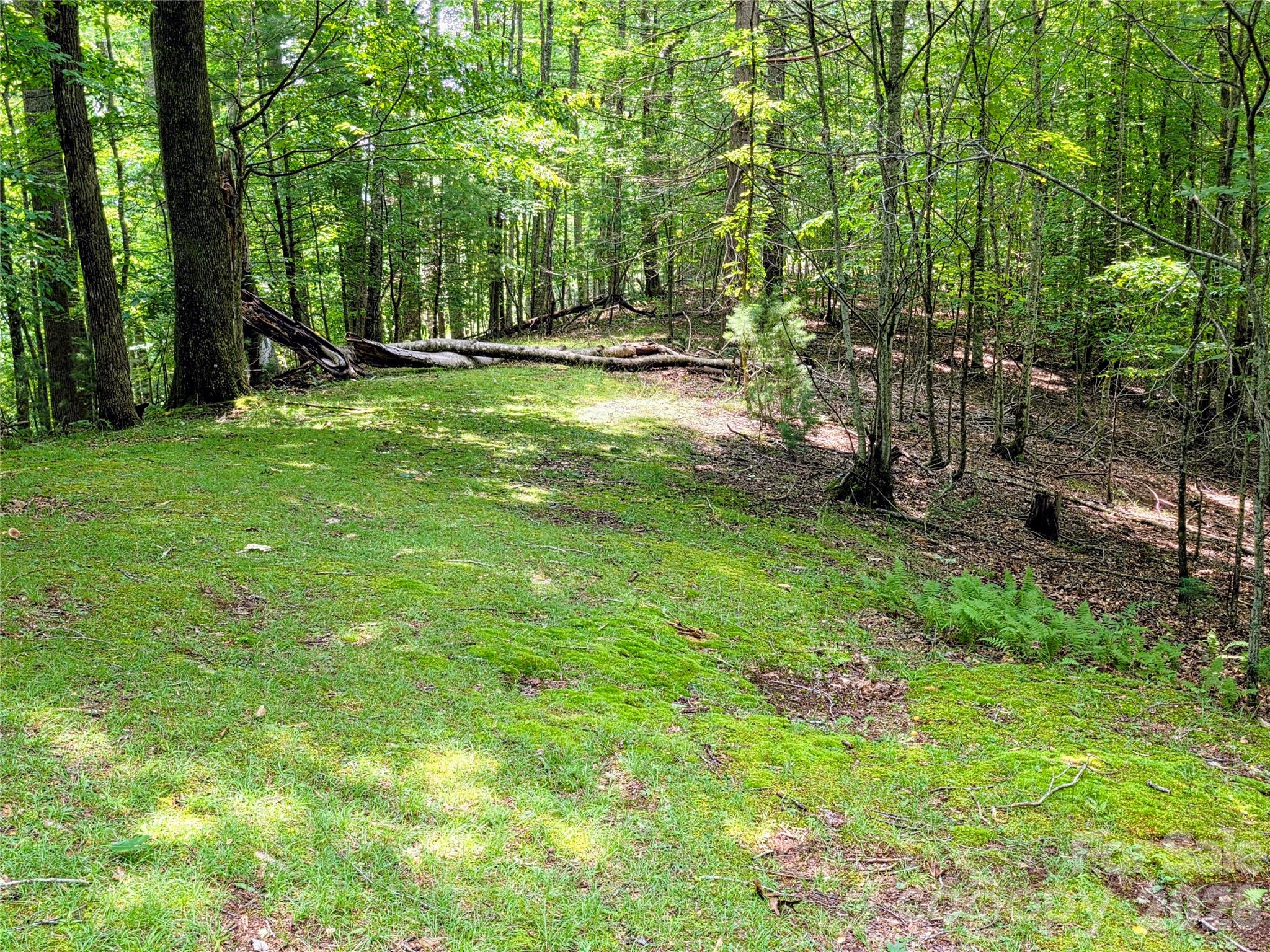 main property photo 20