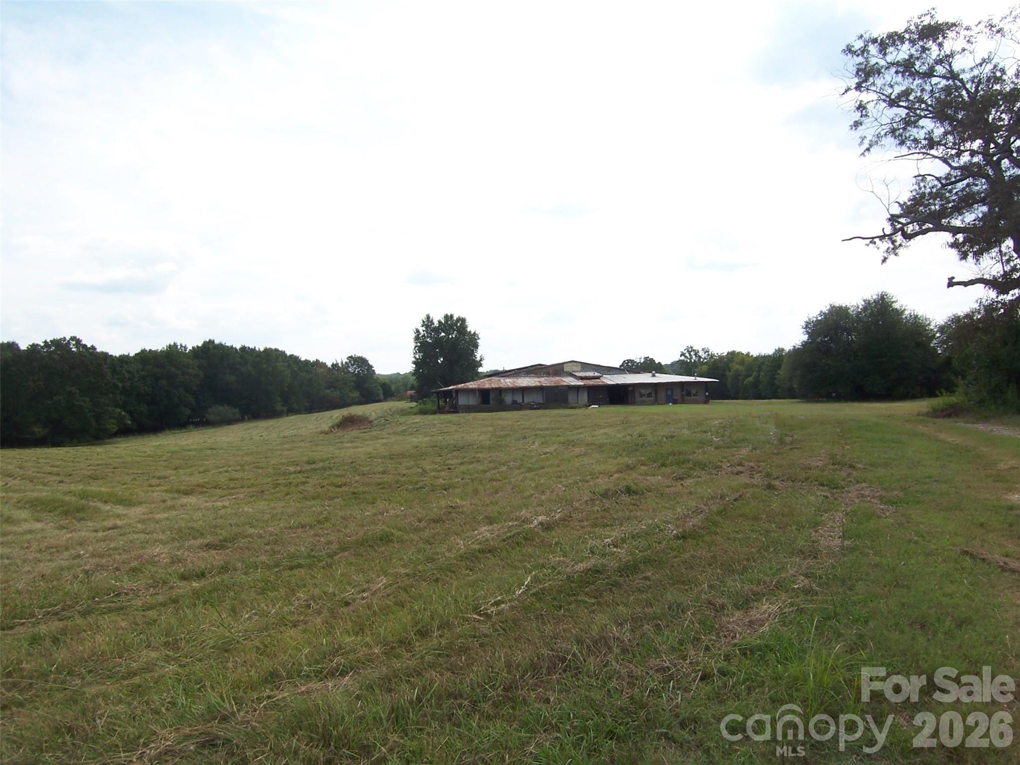 main property photo 11