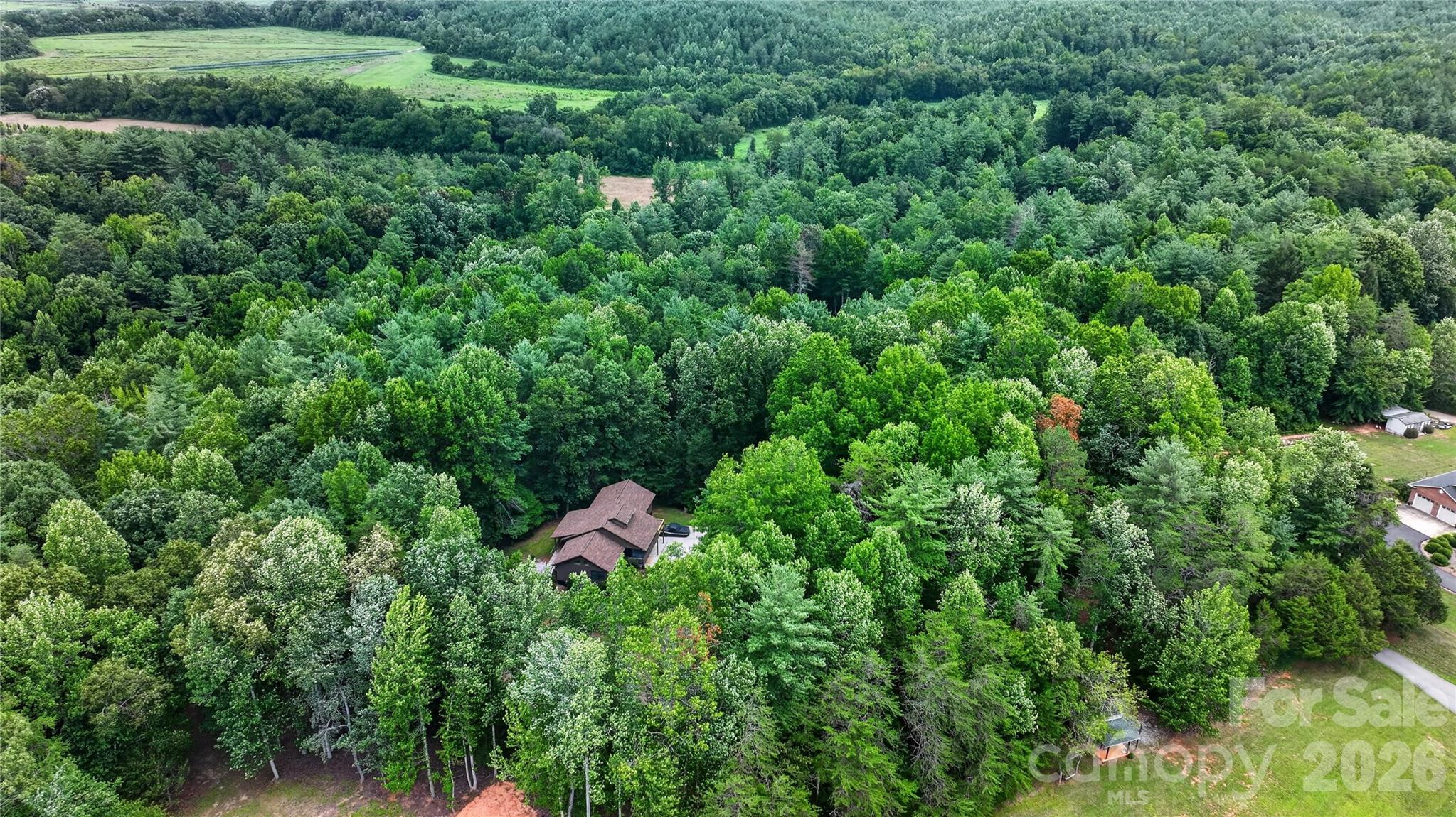 main property photo 45