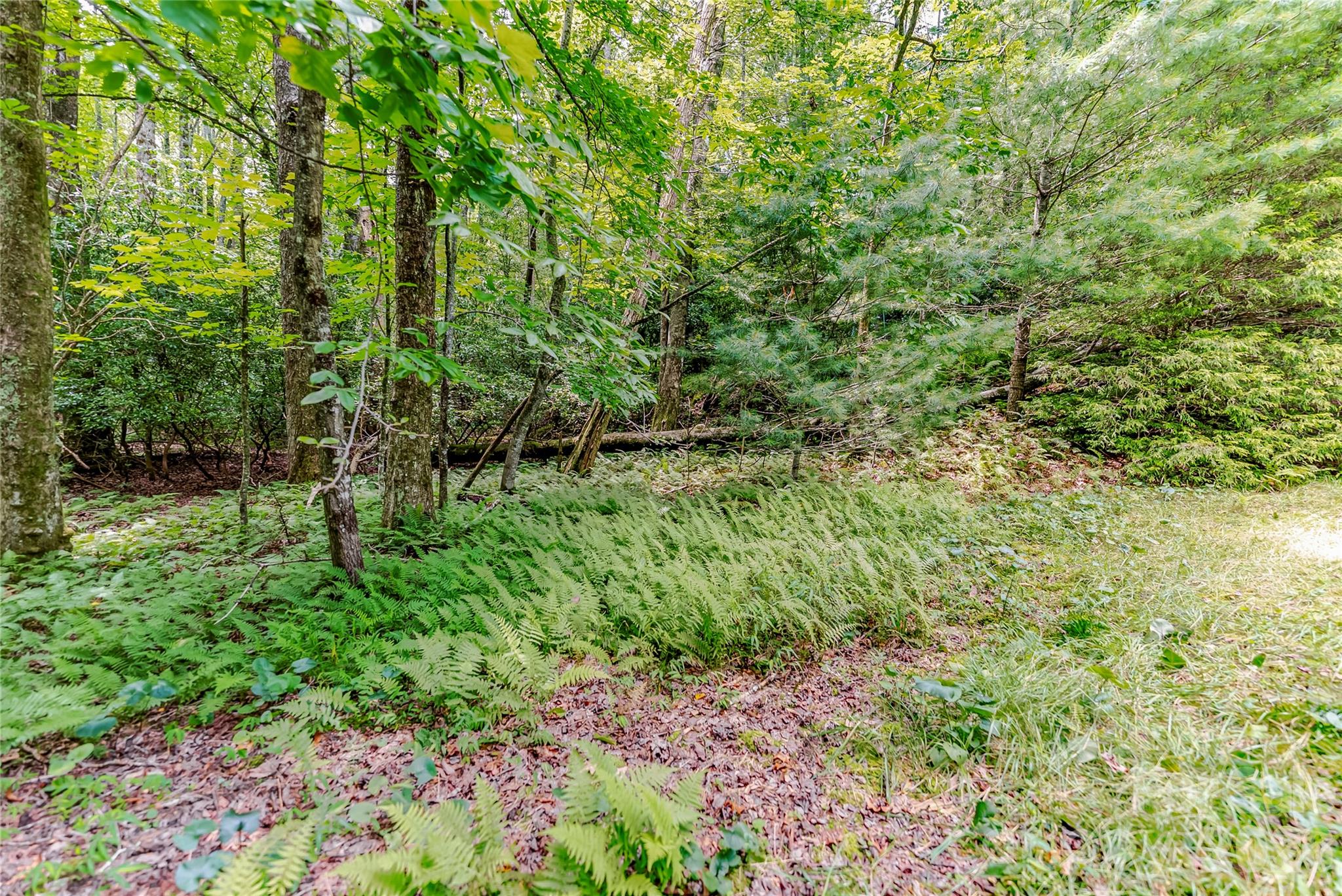 main property photo 40