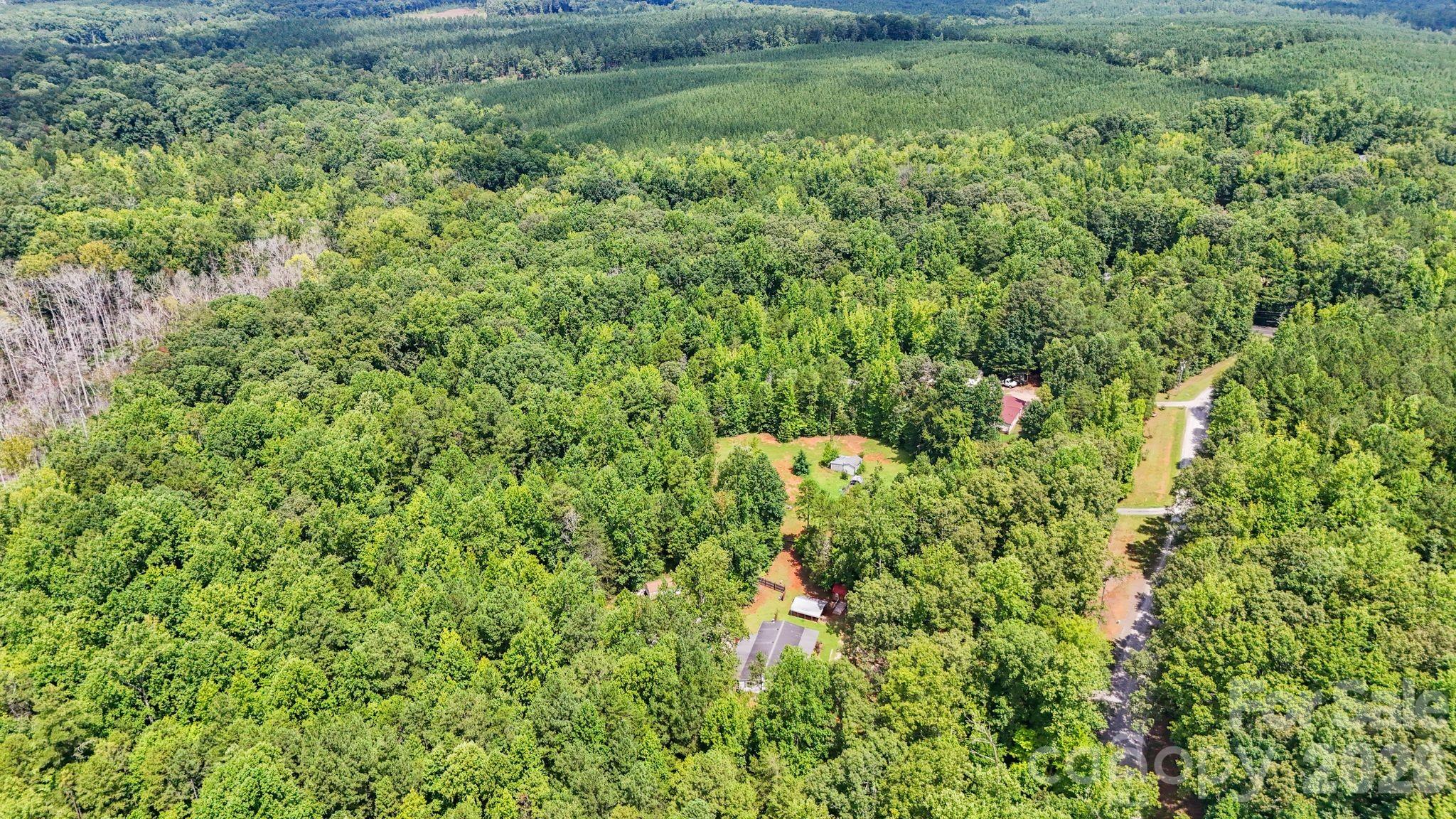 main property photo 41