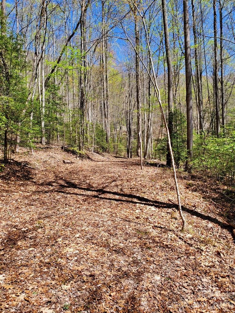 main property photo 29