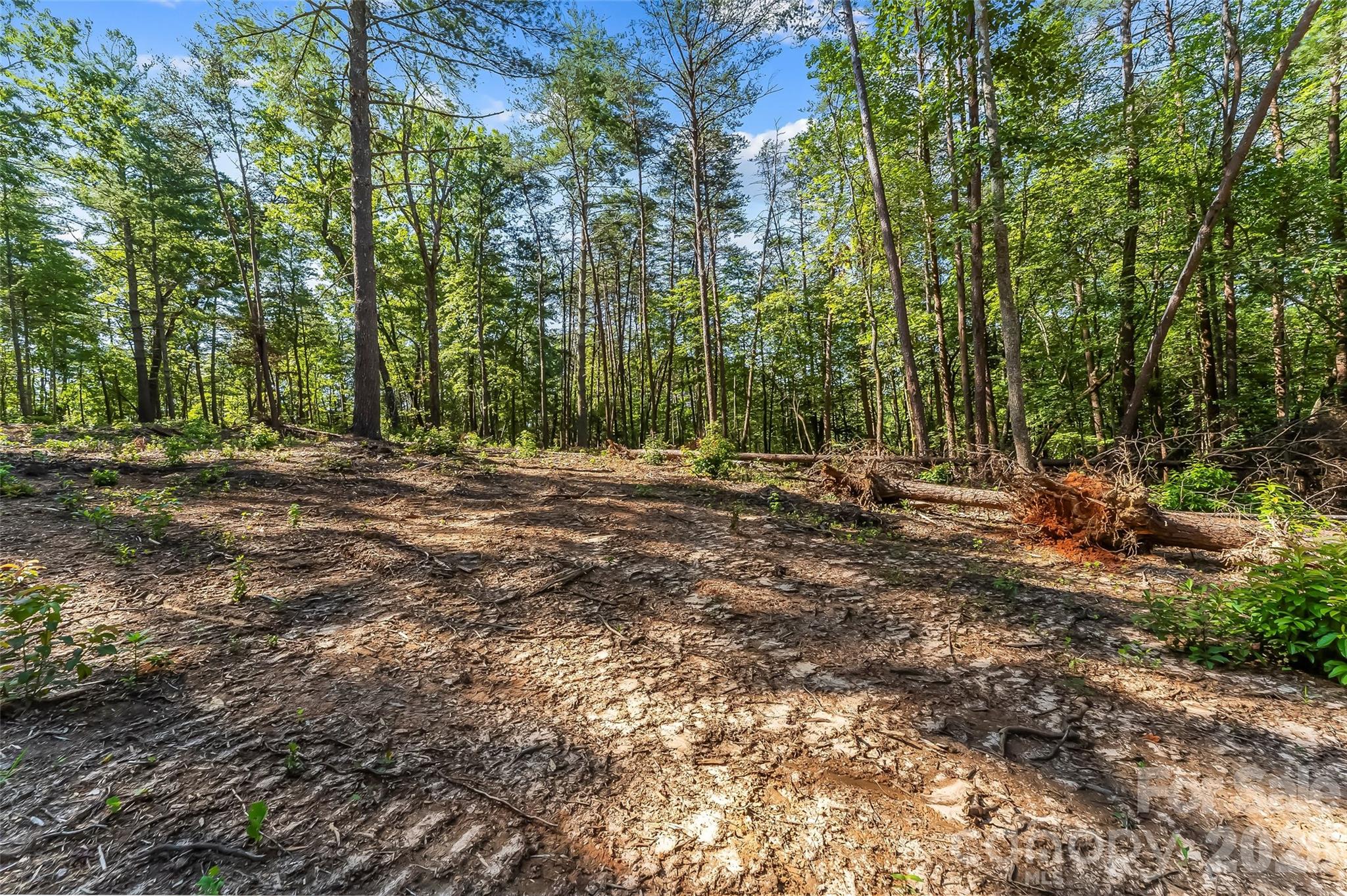 main property photo 7