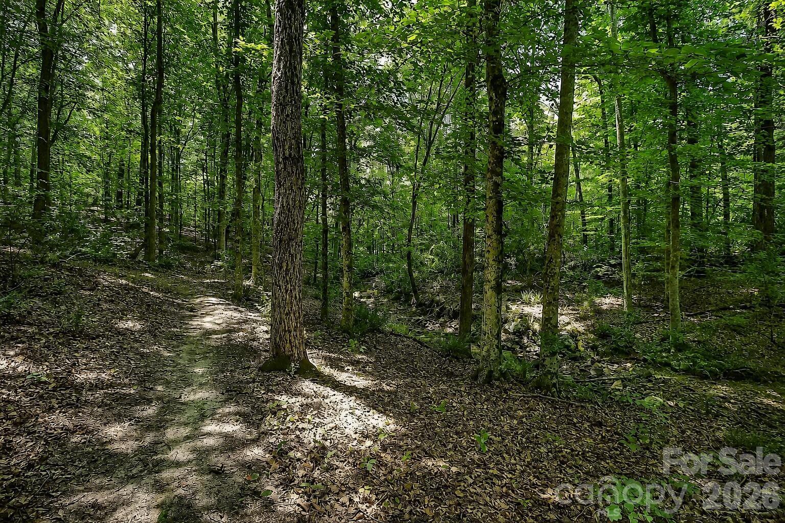 main property photo 37