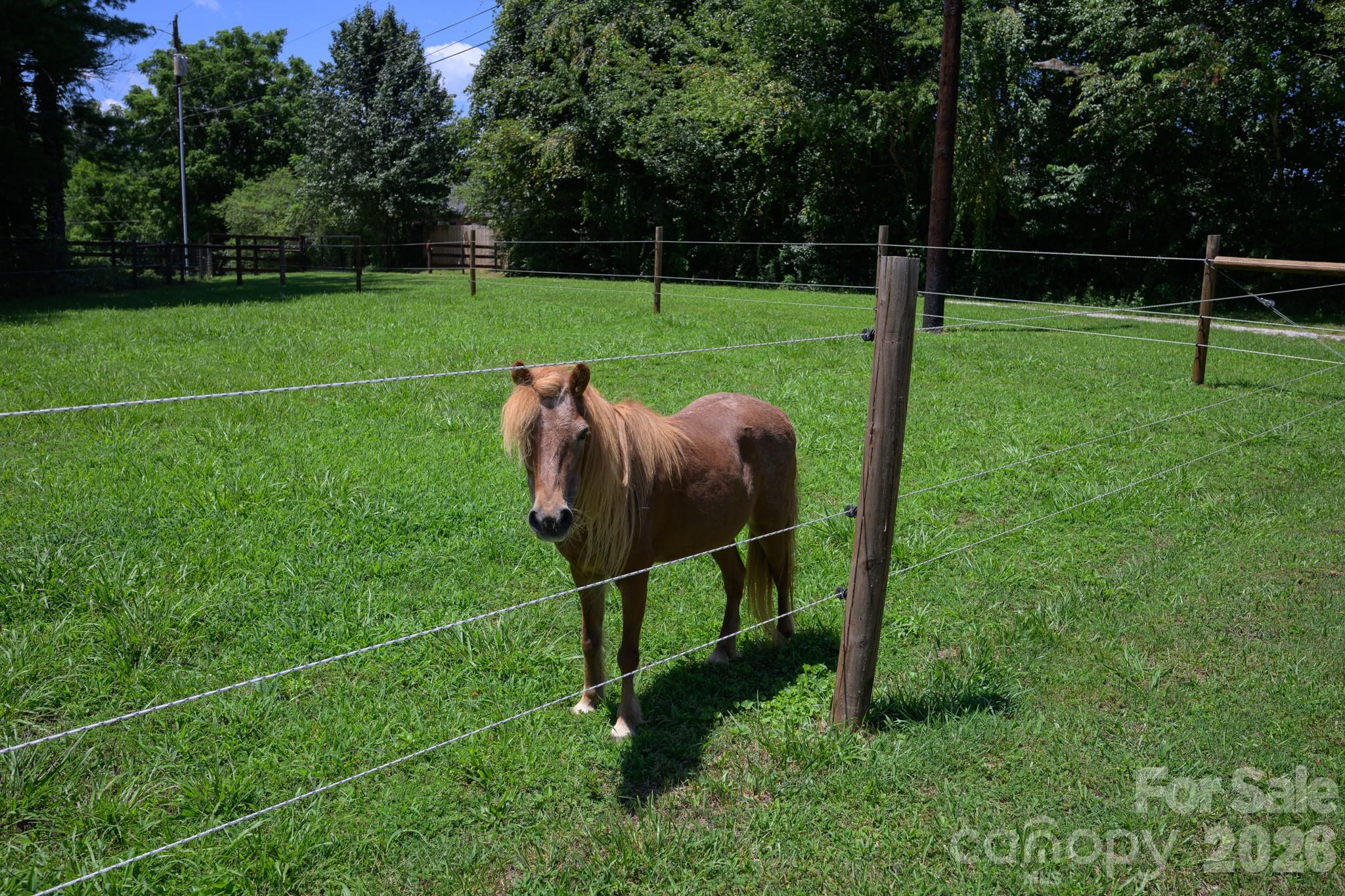 main property photo 16