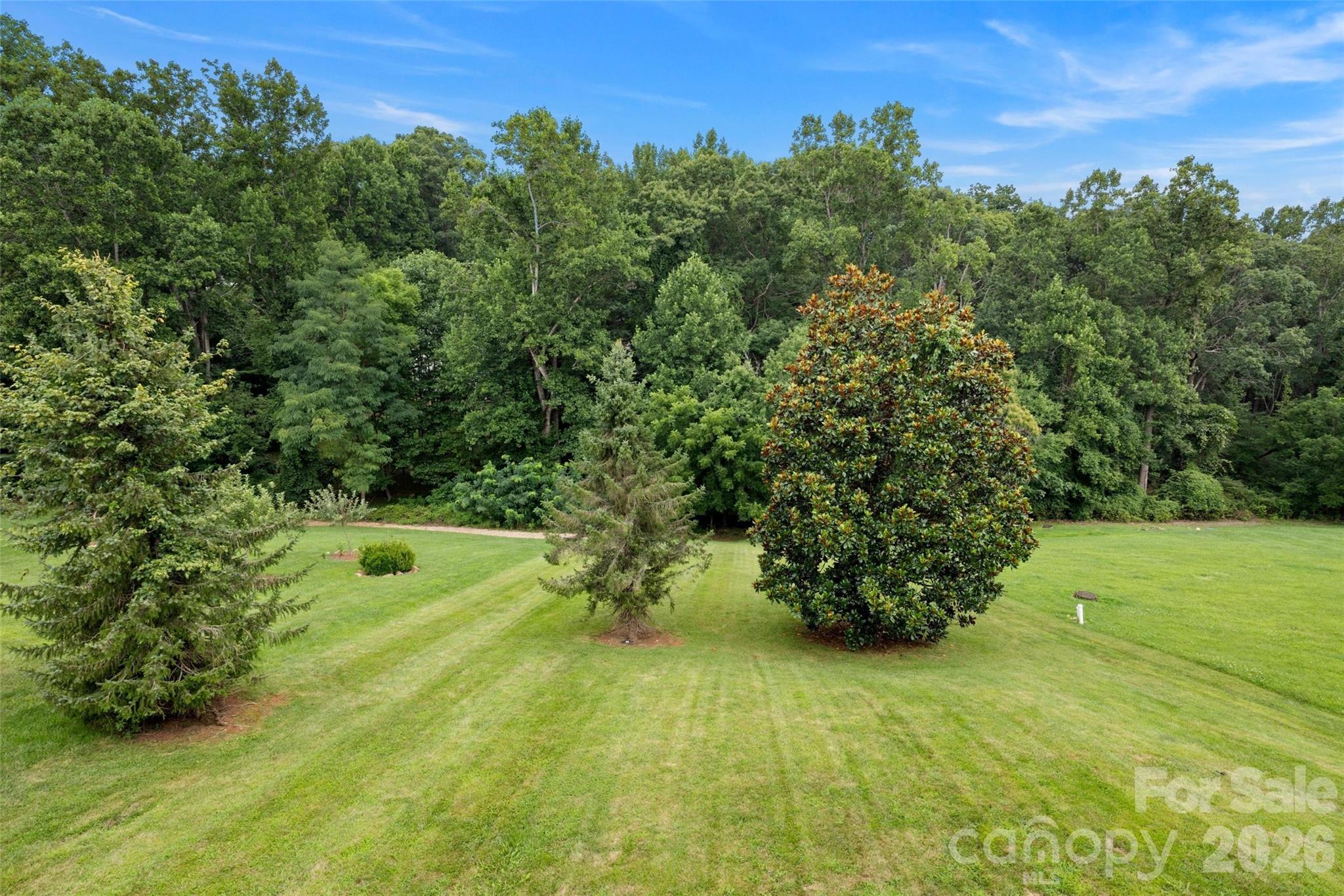 main property photo 43