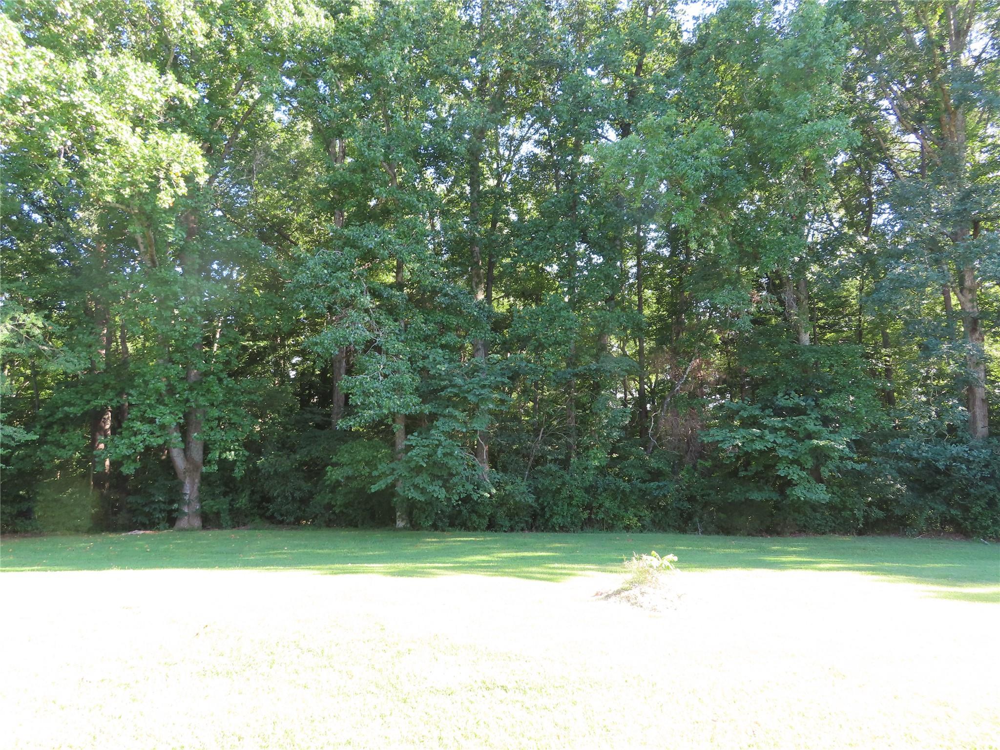 main property photo 11