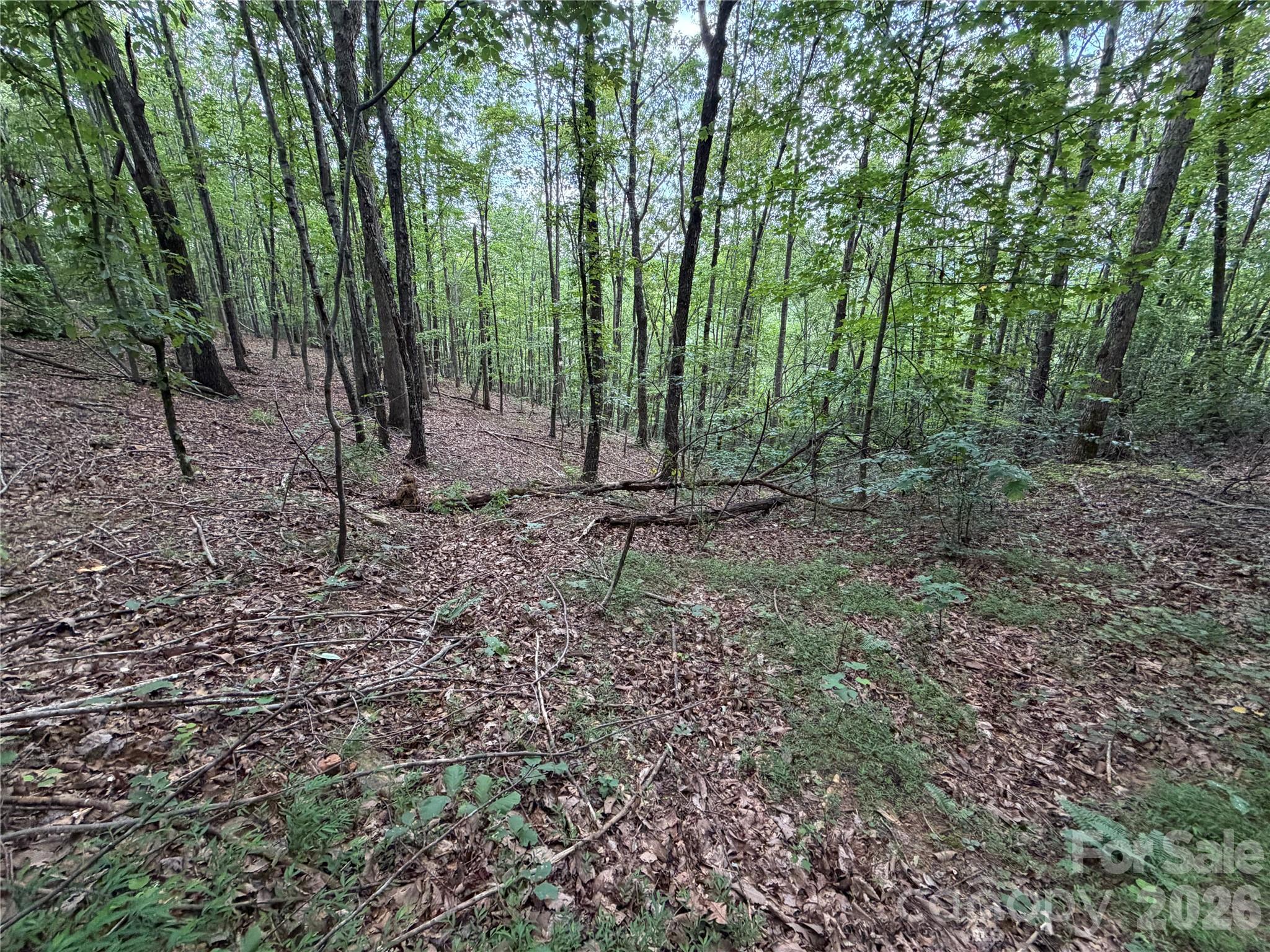 main property photo 10