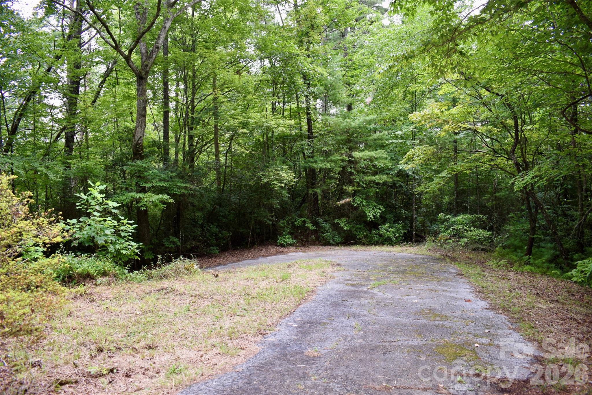 main property photo 34