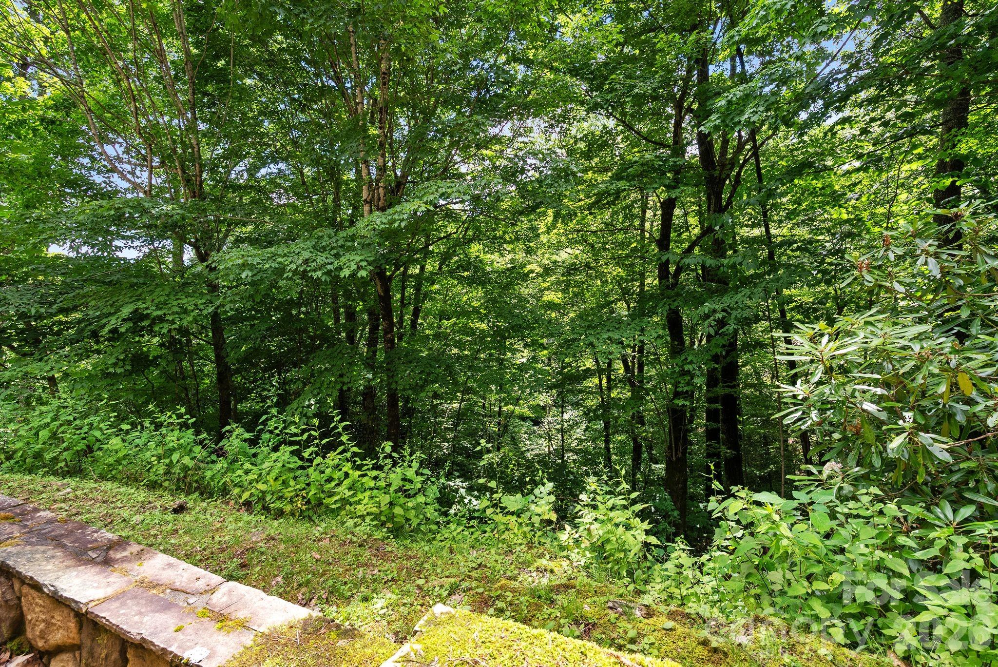 main property photo 43