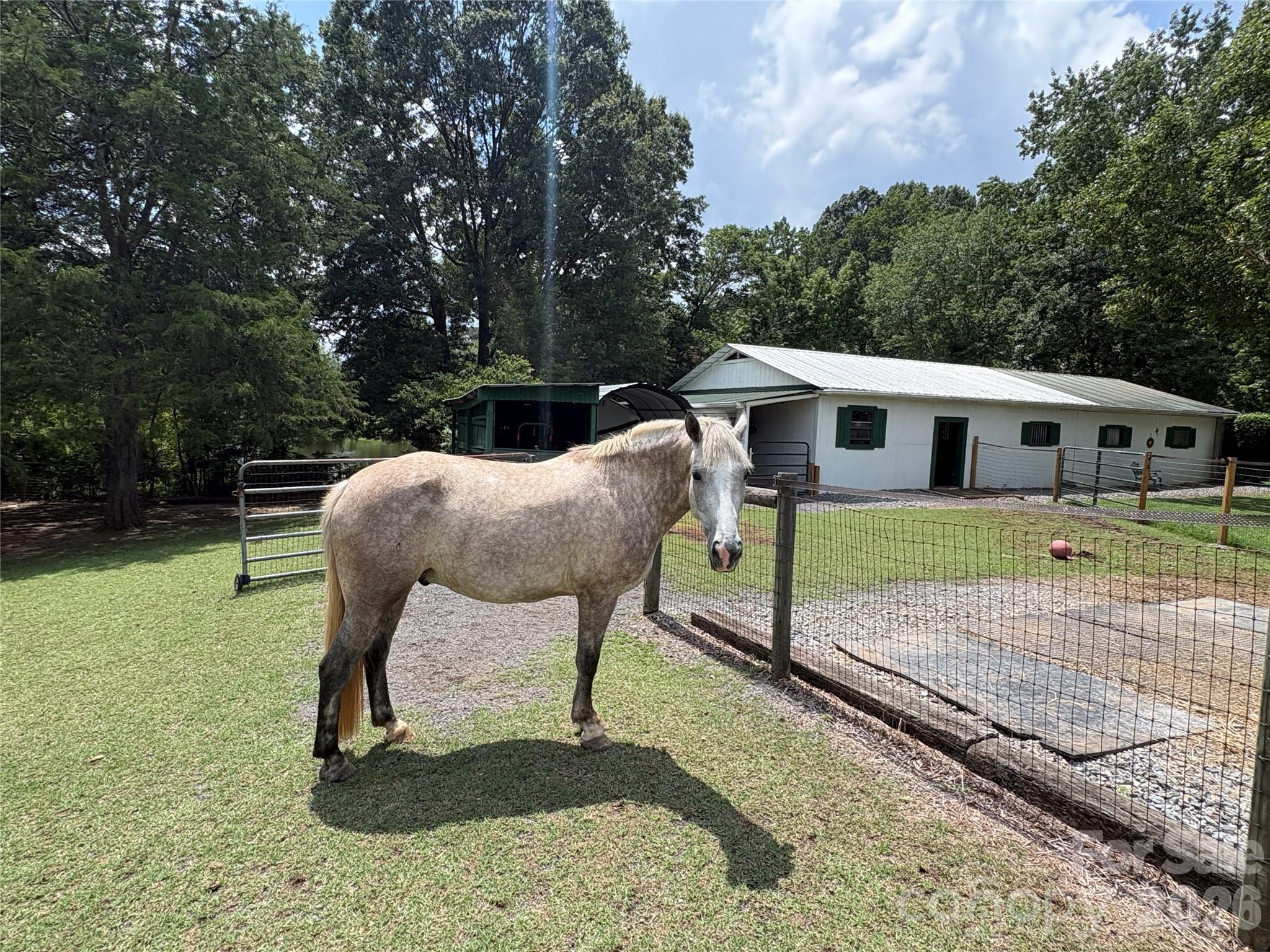 main property photo 4