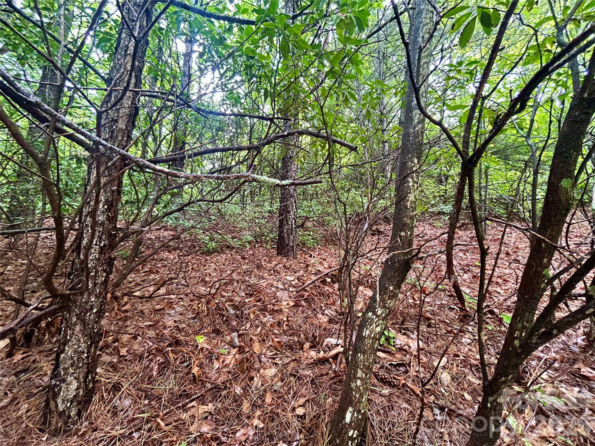 main property photo 10