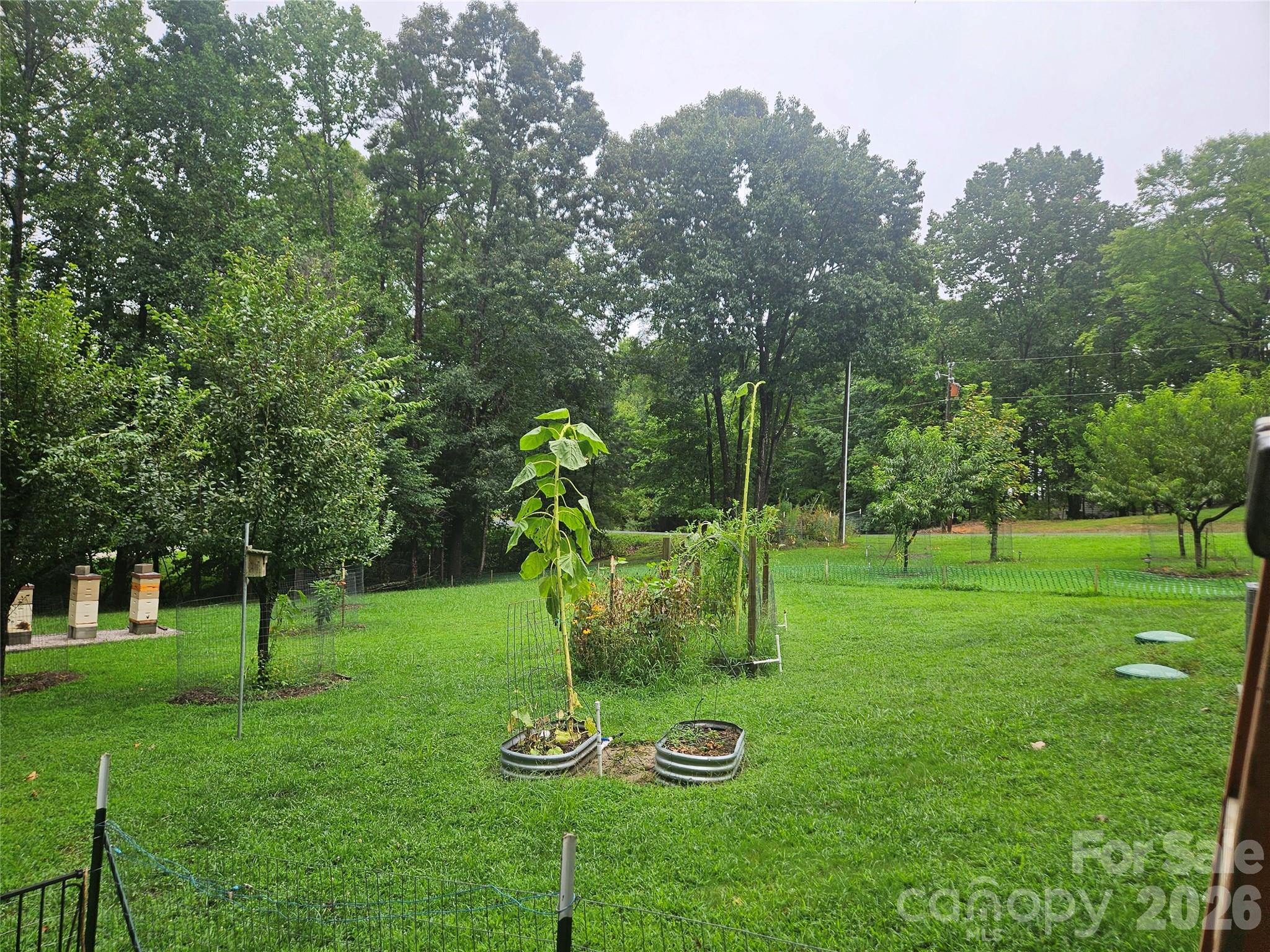 main property photo 26