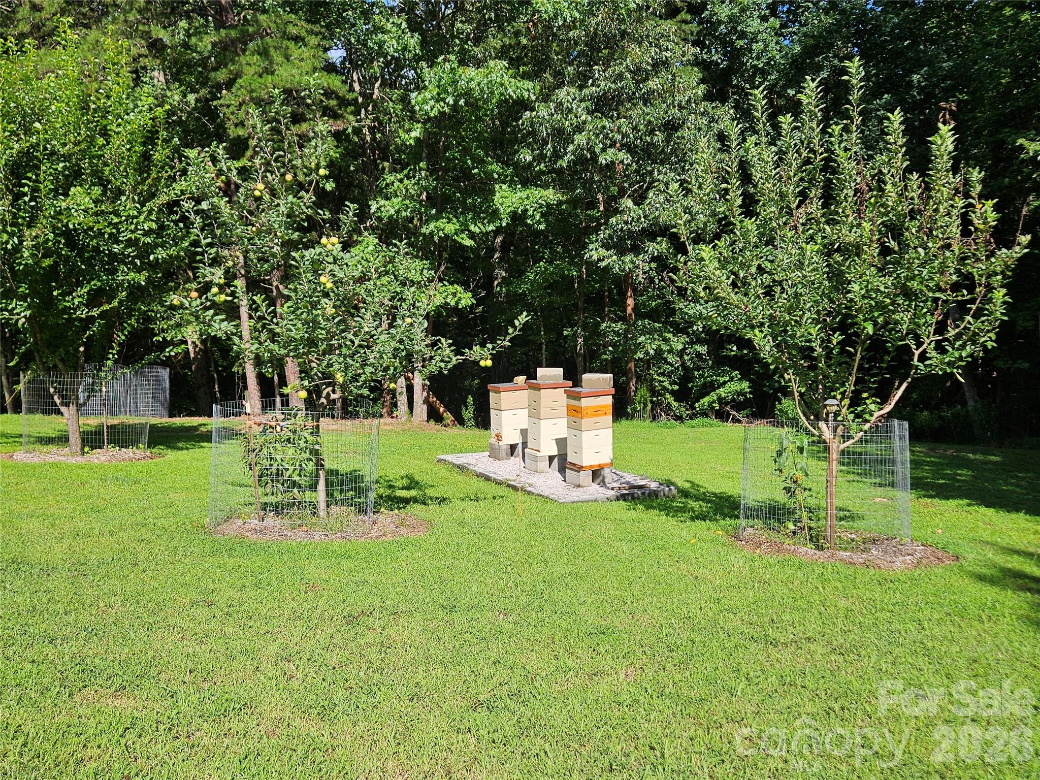 main property photo 30
