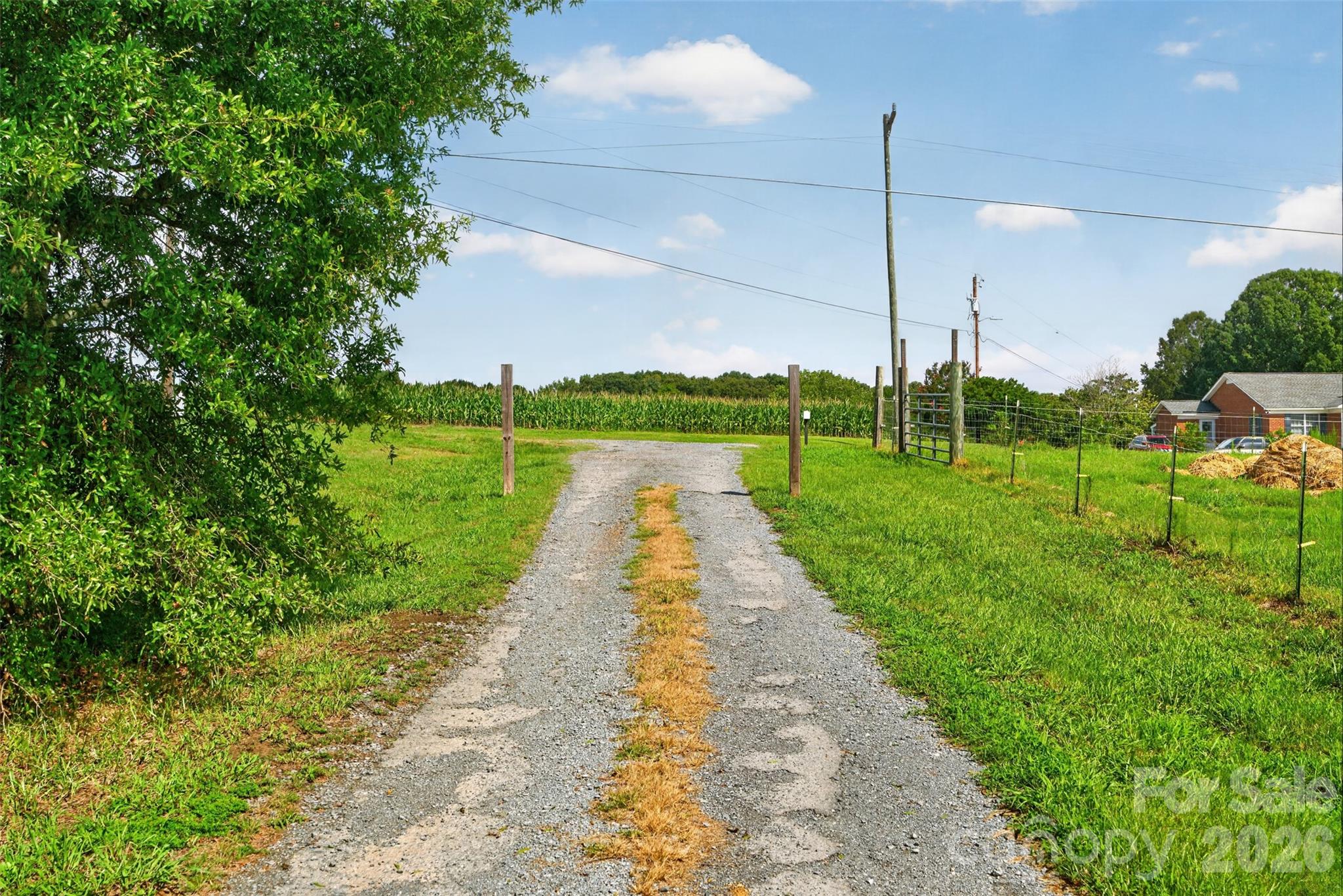 main property photo 45