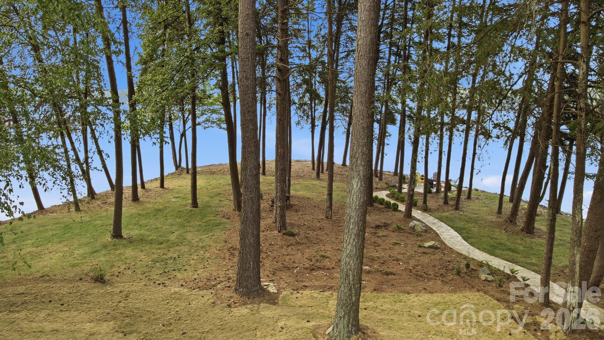 main property photo 46