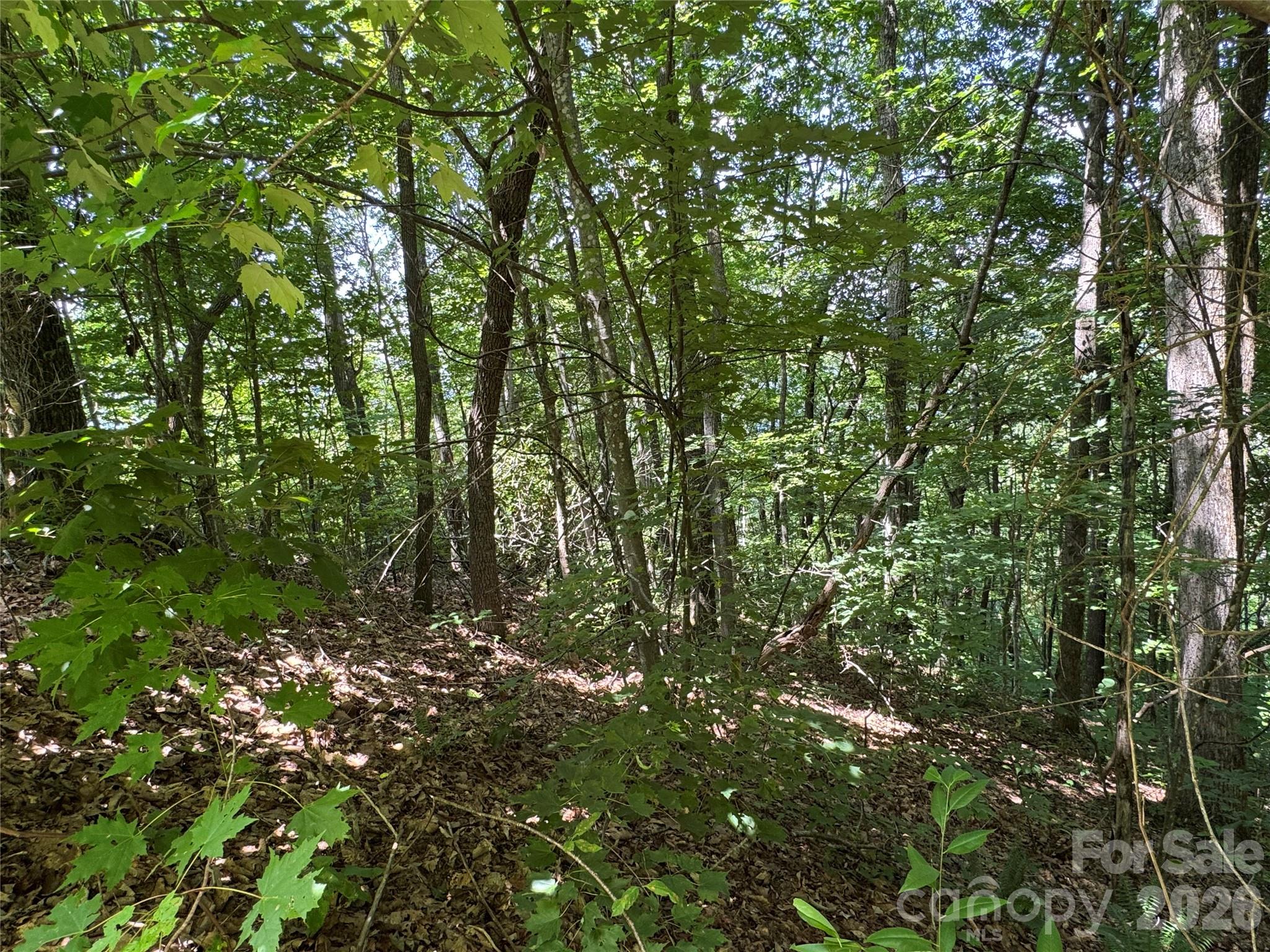 main property photo 11