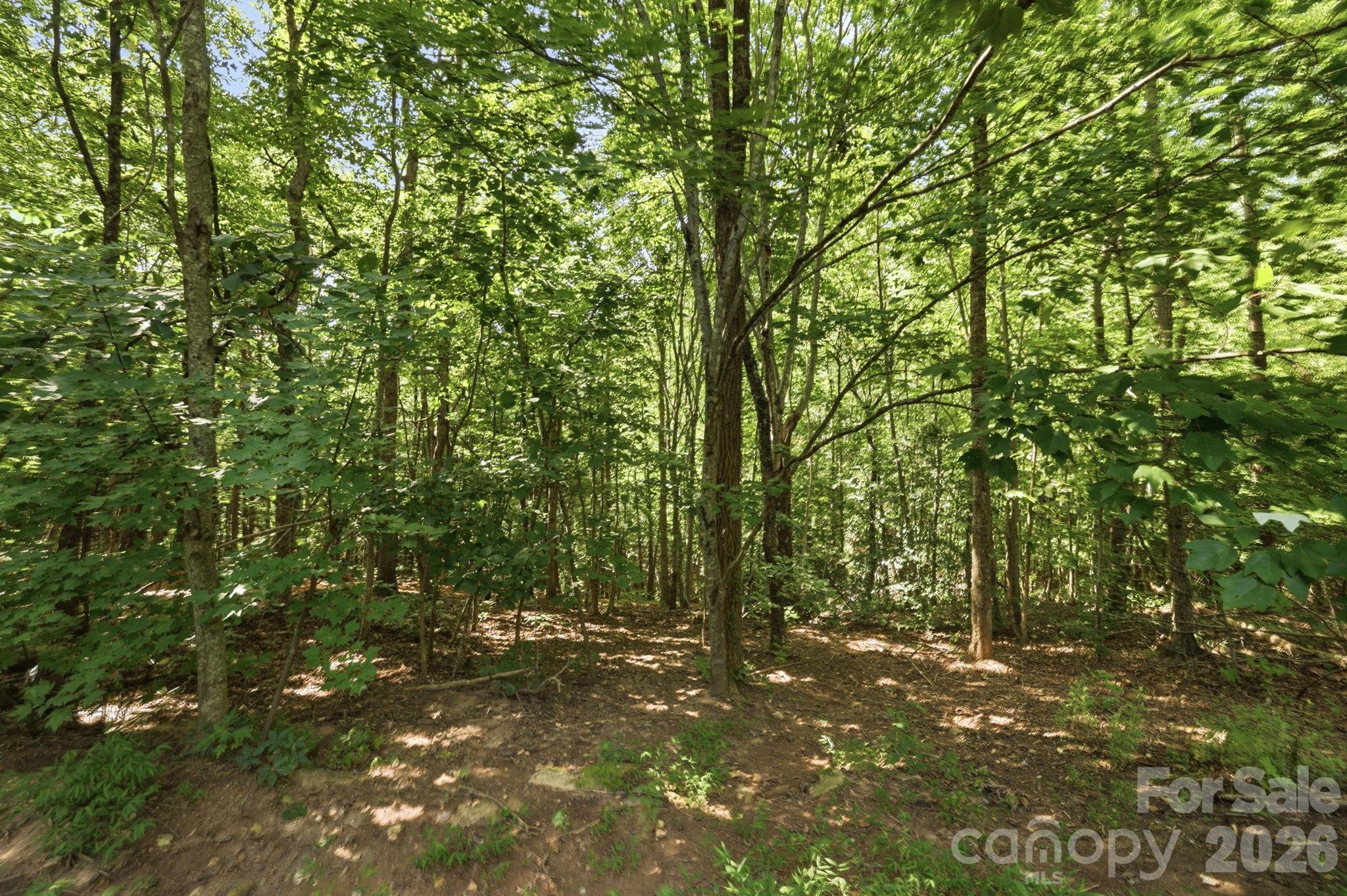 main property photo 40