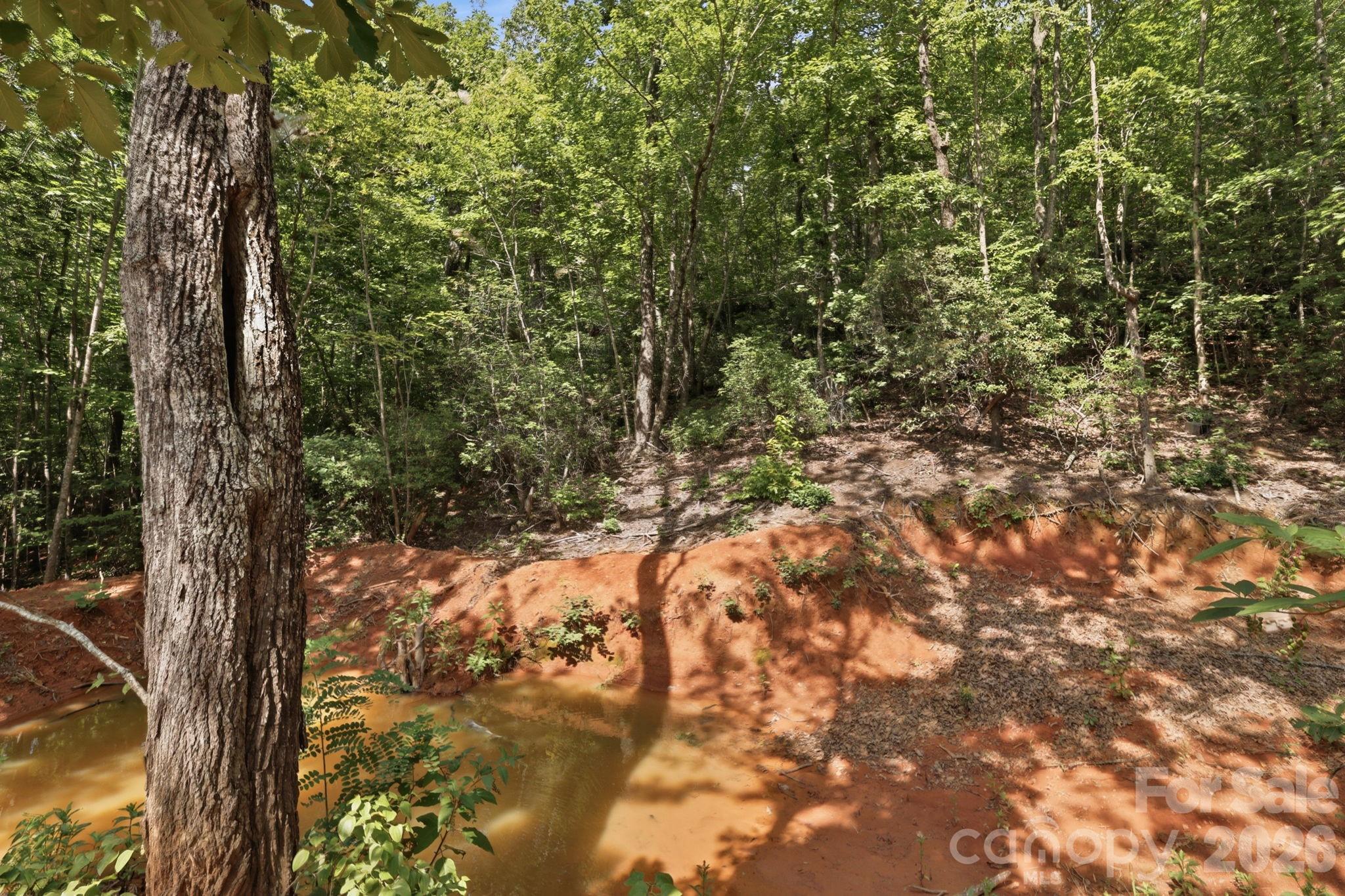main property photo 47