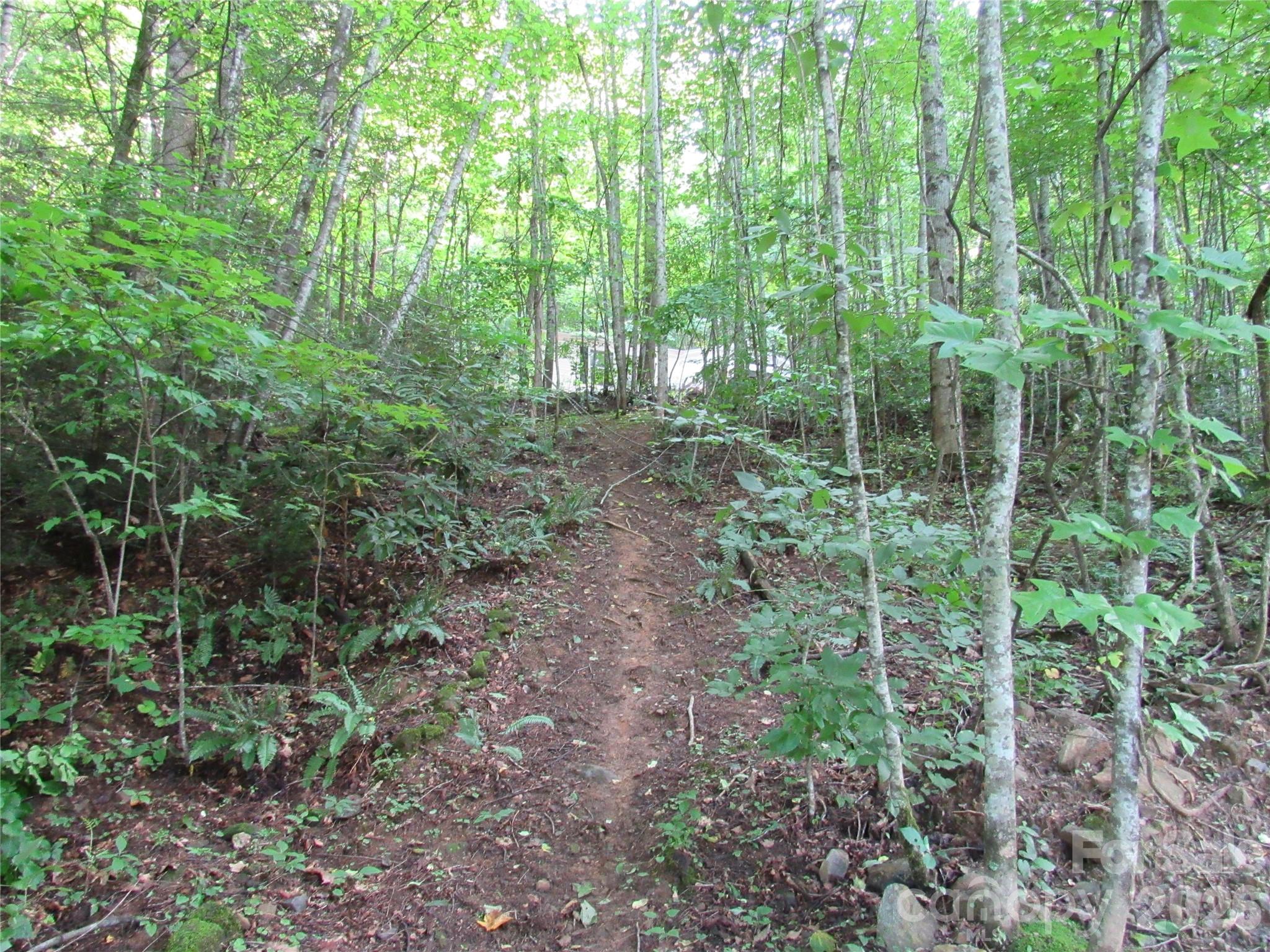 main property photo 26