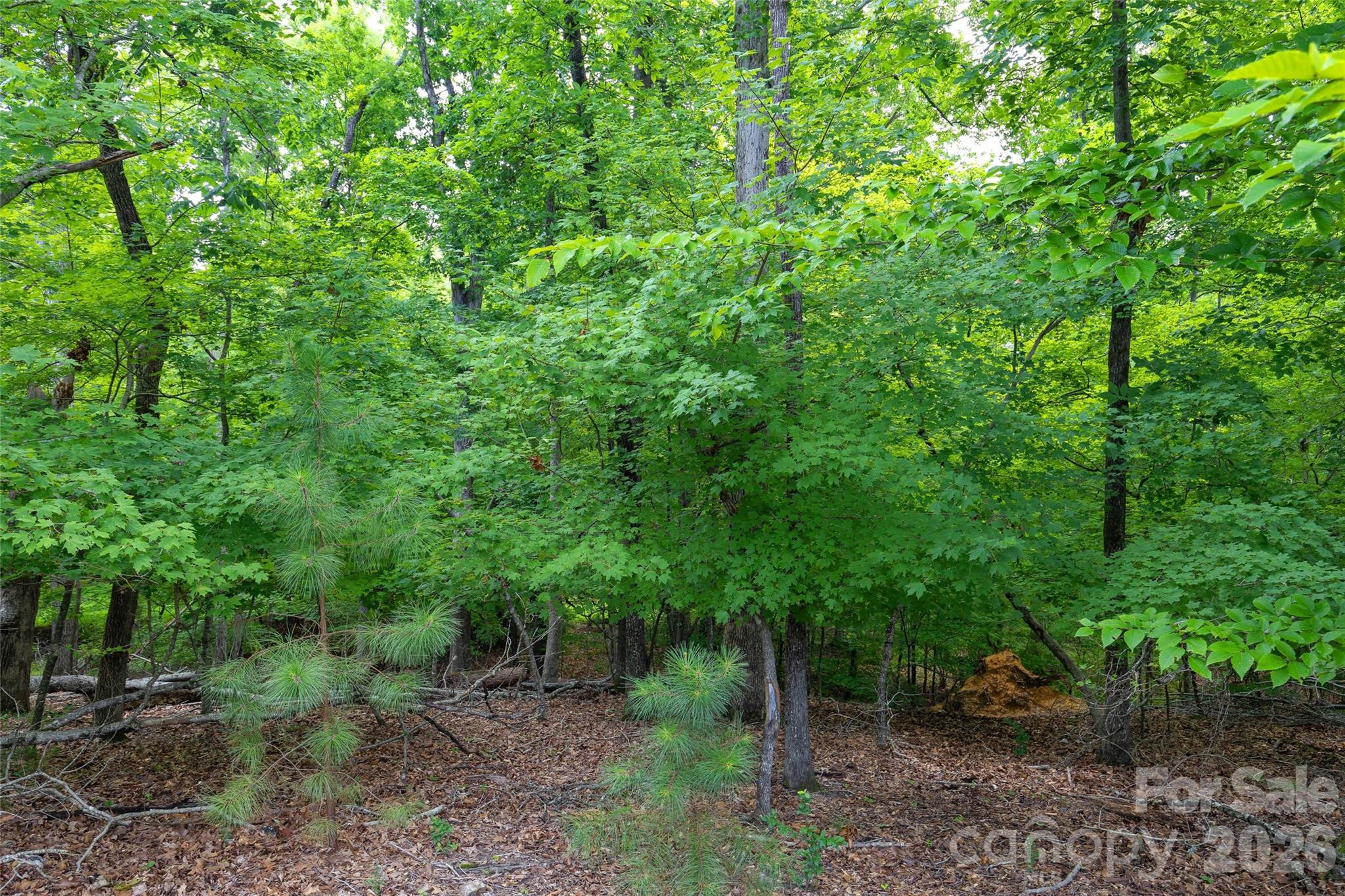 main property photo 47