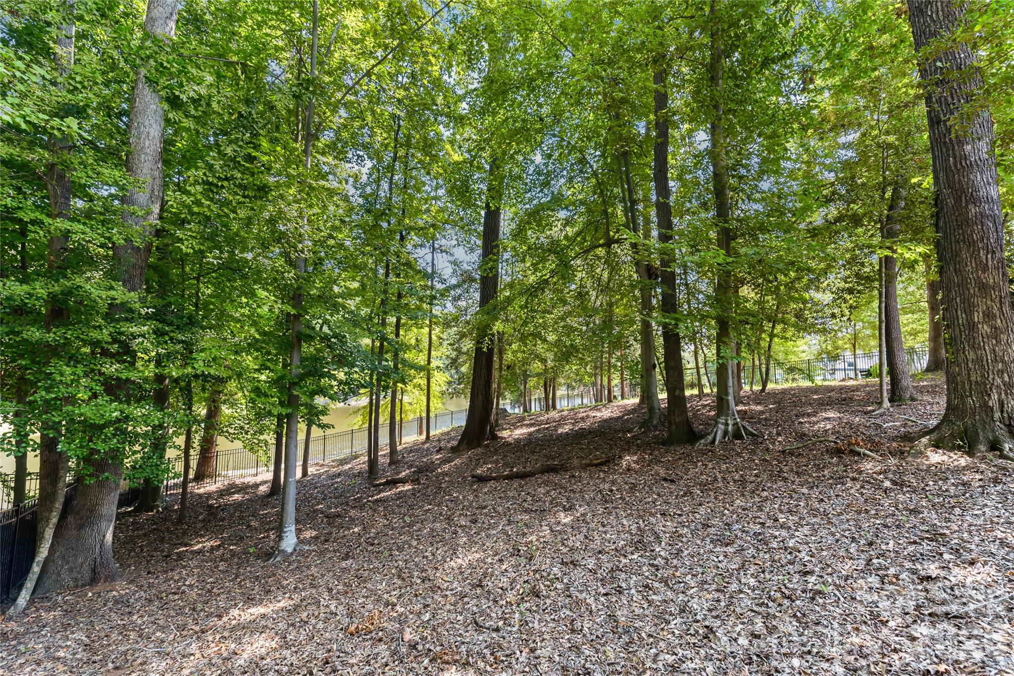 main property photo 36