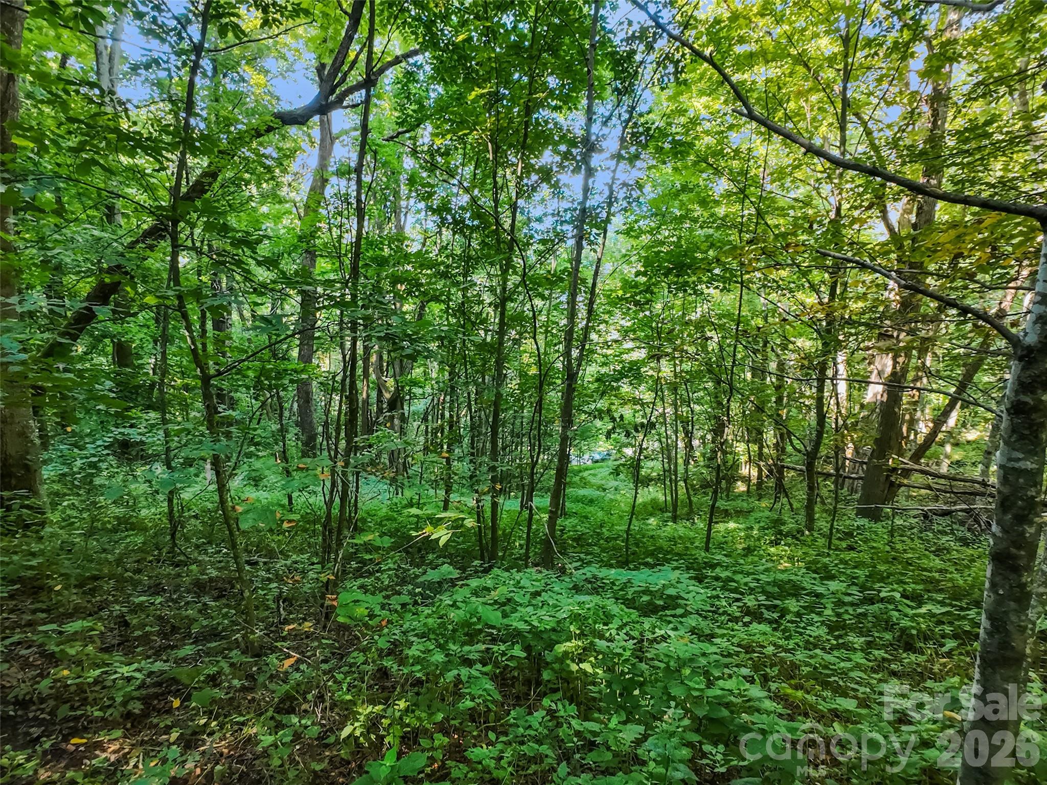 main property photo 10