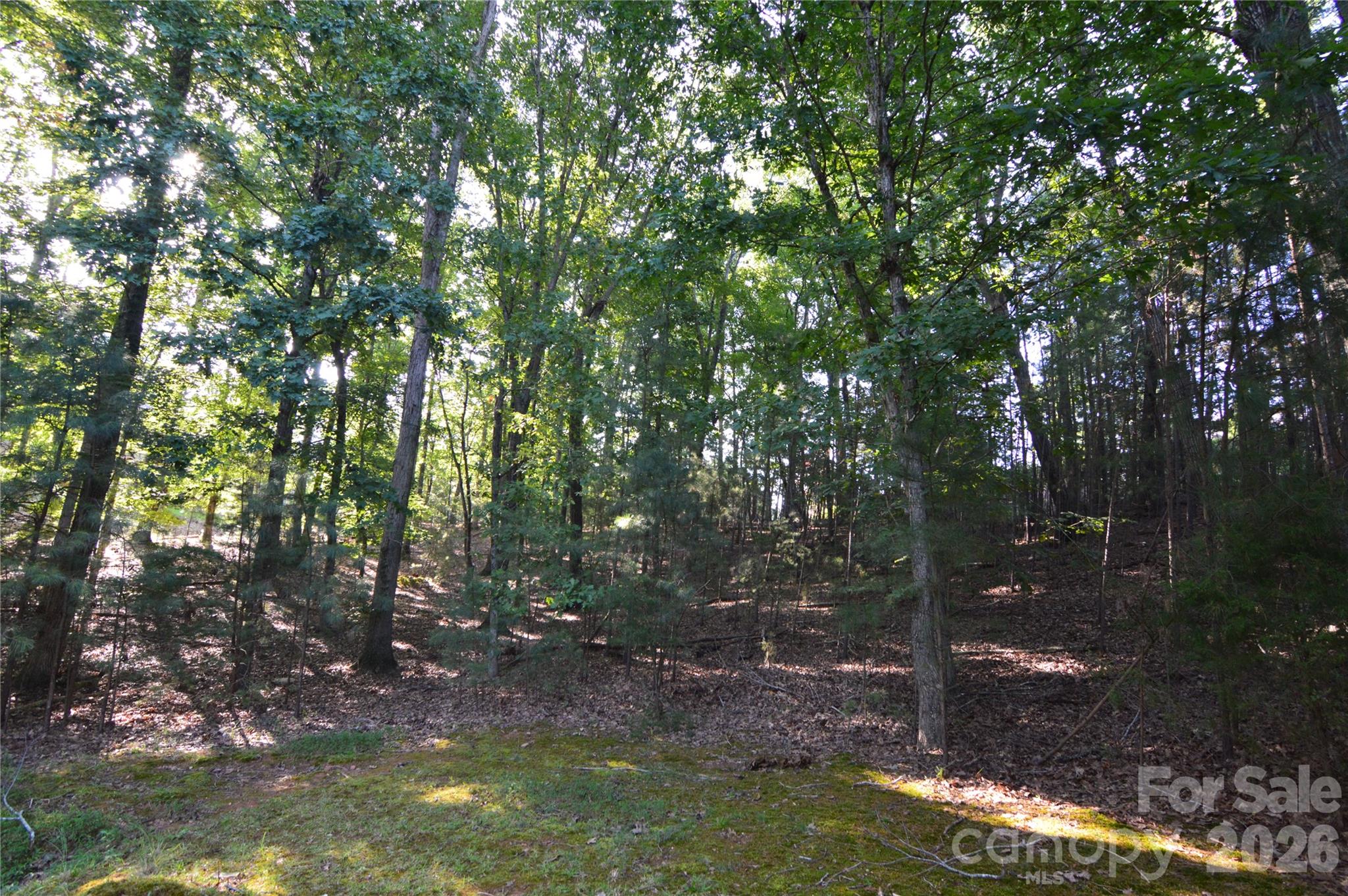 main property photo 8