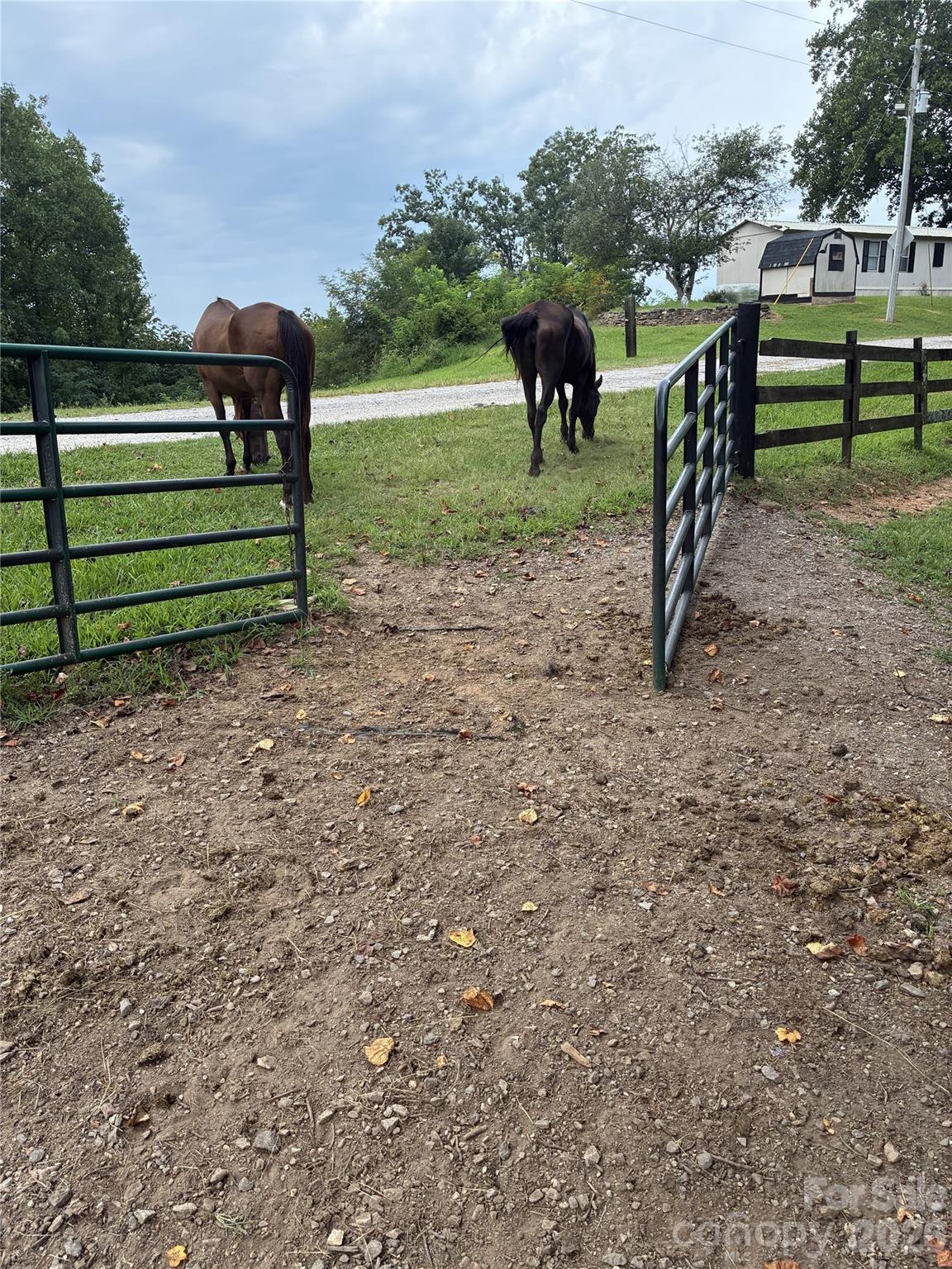 main property photo 21