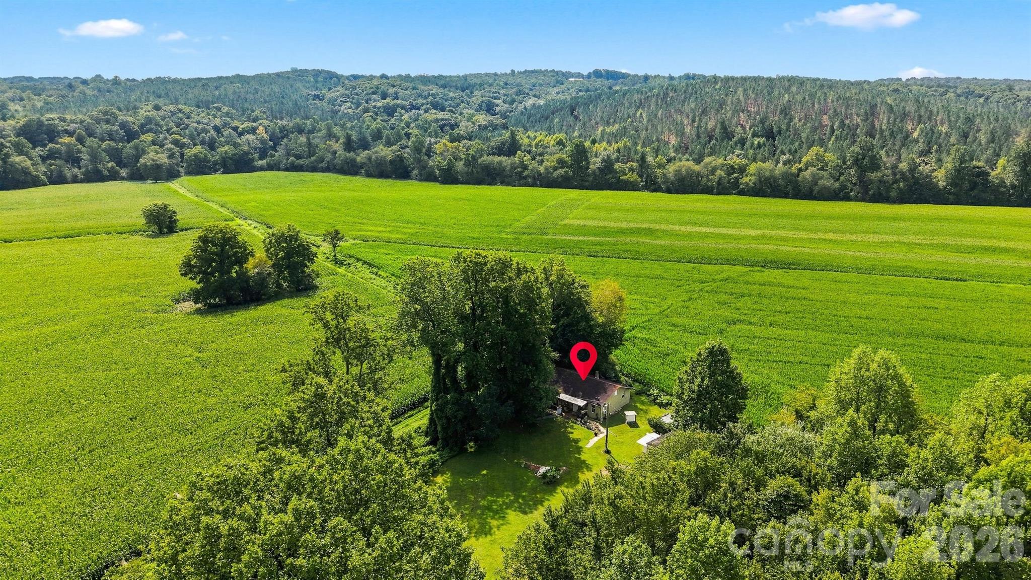 main property photo 20
