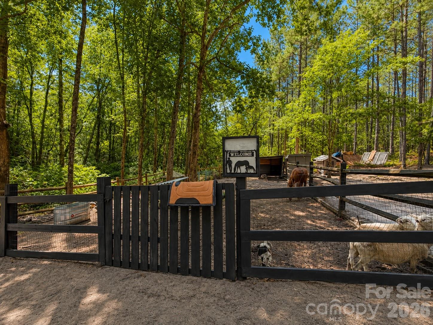 main property photo 37