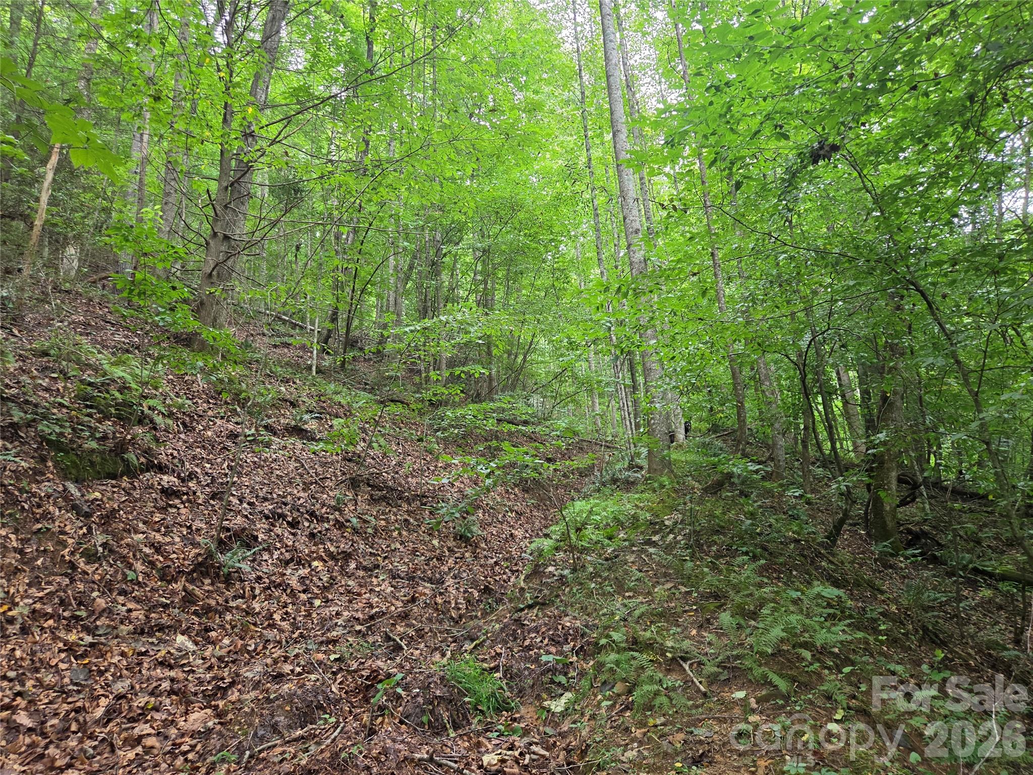 main property photo 30