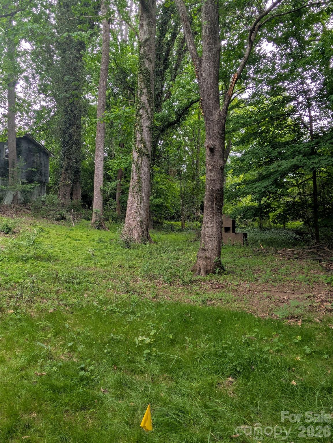 main property photo 41
